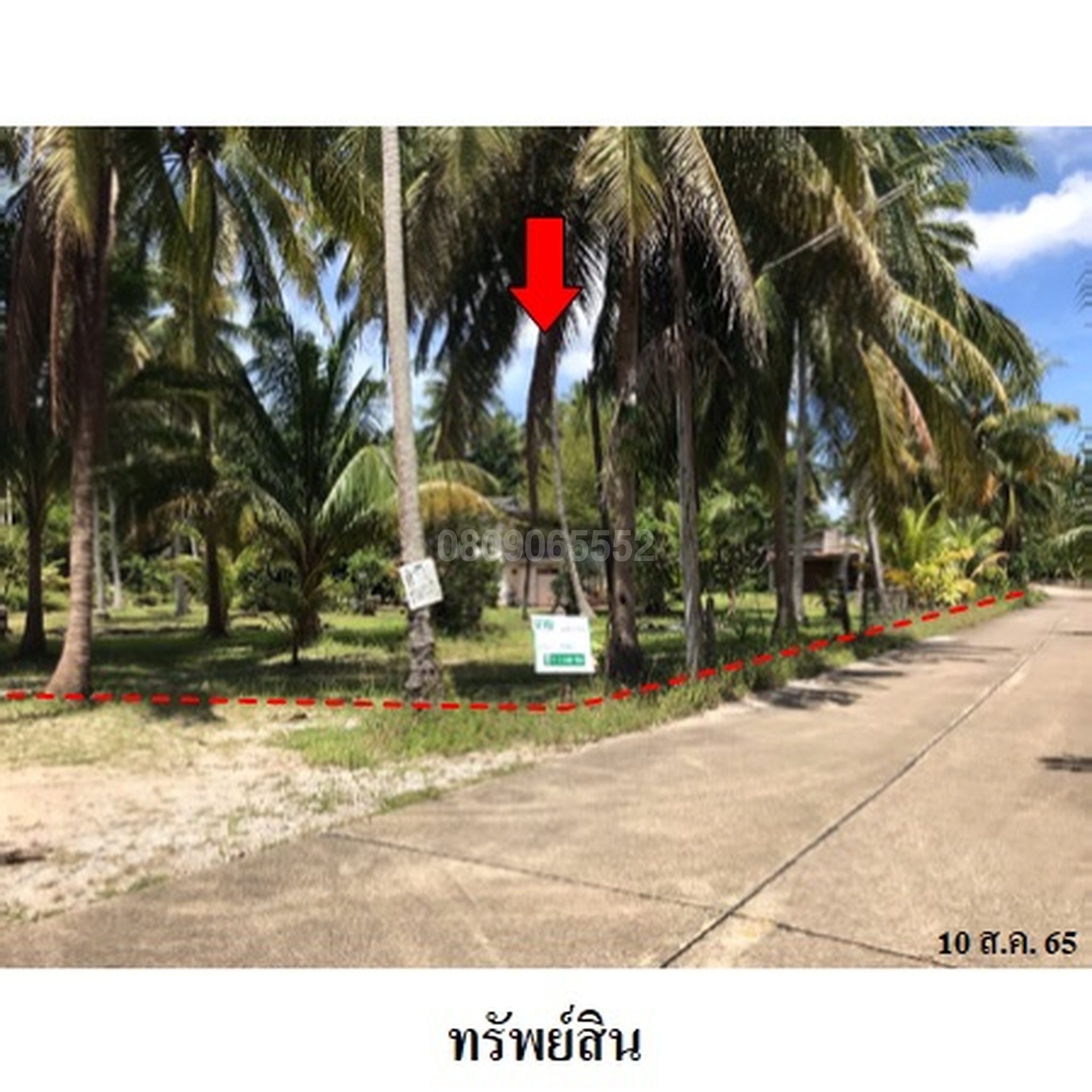 ขายที่ดิน - ซอย อ่าวขนอมซอย 4