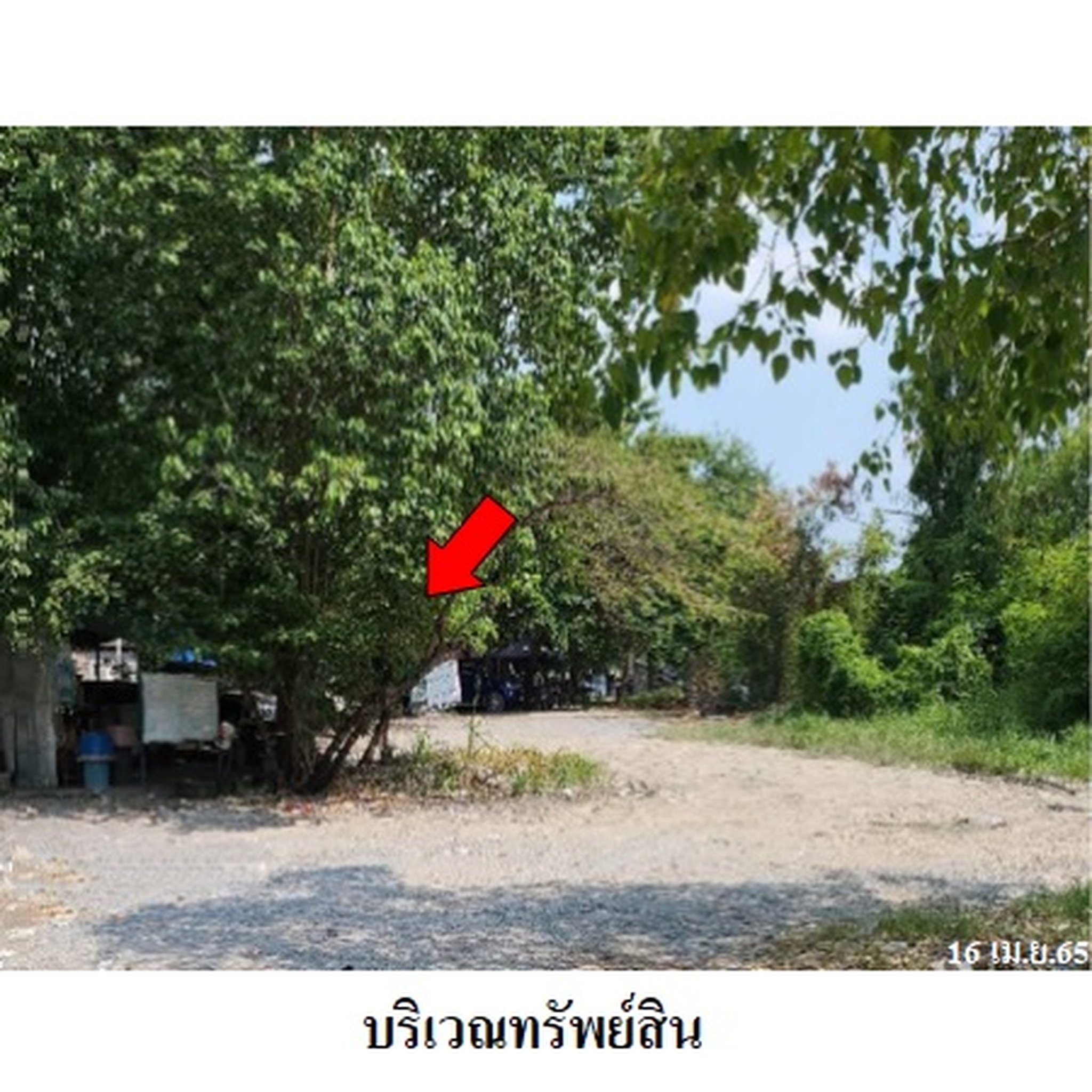 ขายที่ดิน เมืองประชา (Mueang Pracha Bang Khu Wat)