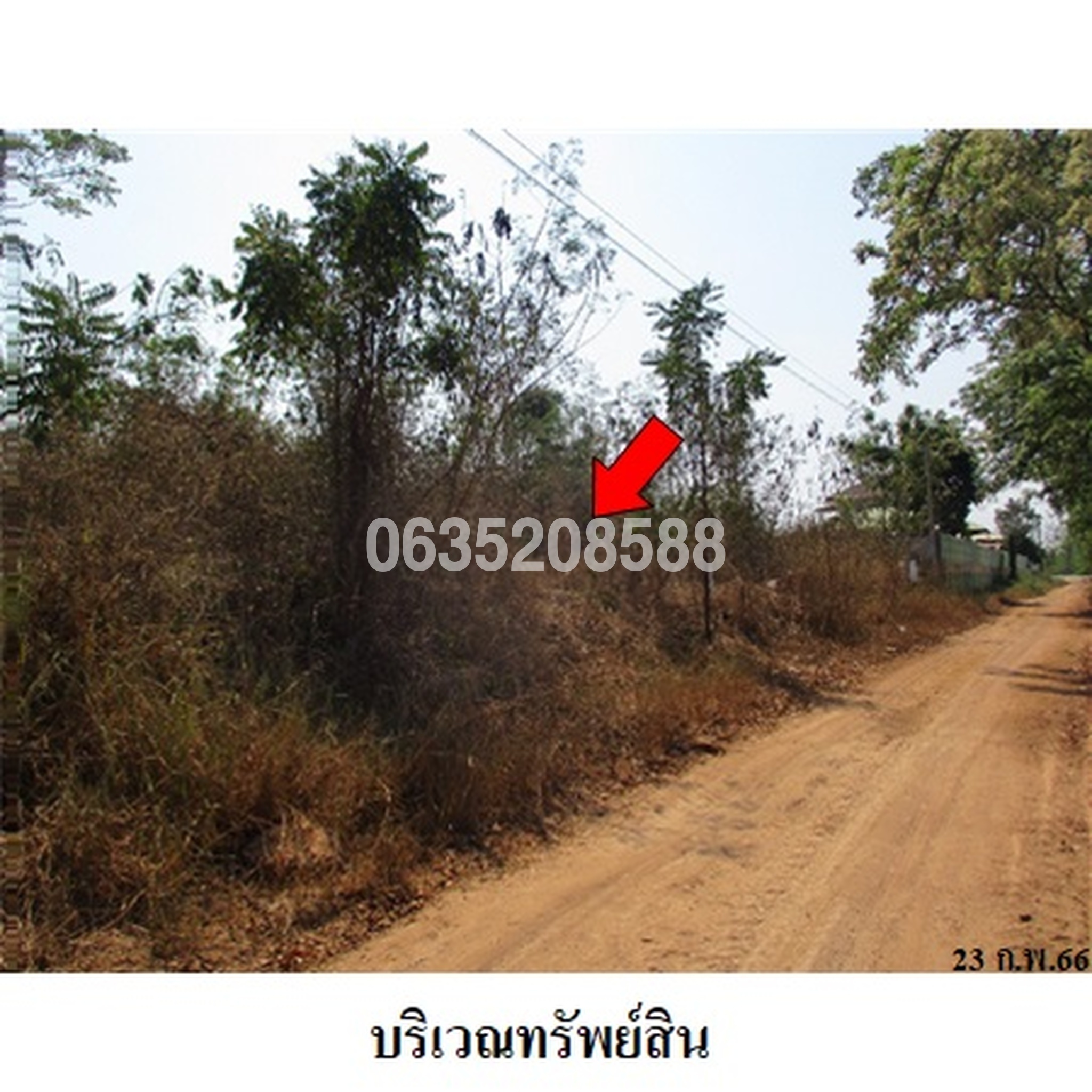 ขายที่ดิน ชาละวันวิลล่า