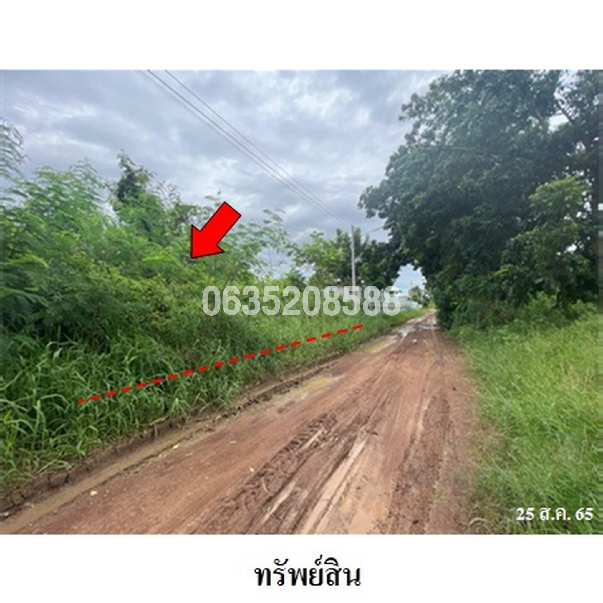 ขายที่ดิน ถนนสายพิจิตร-วังกรด (พจ.5046)