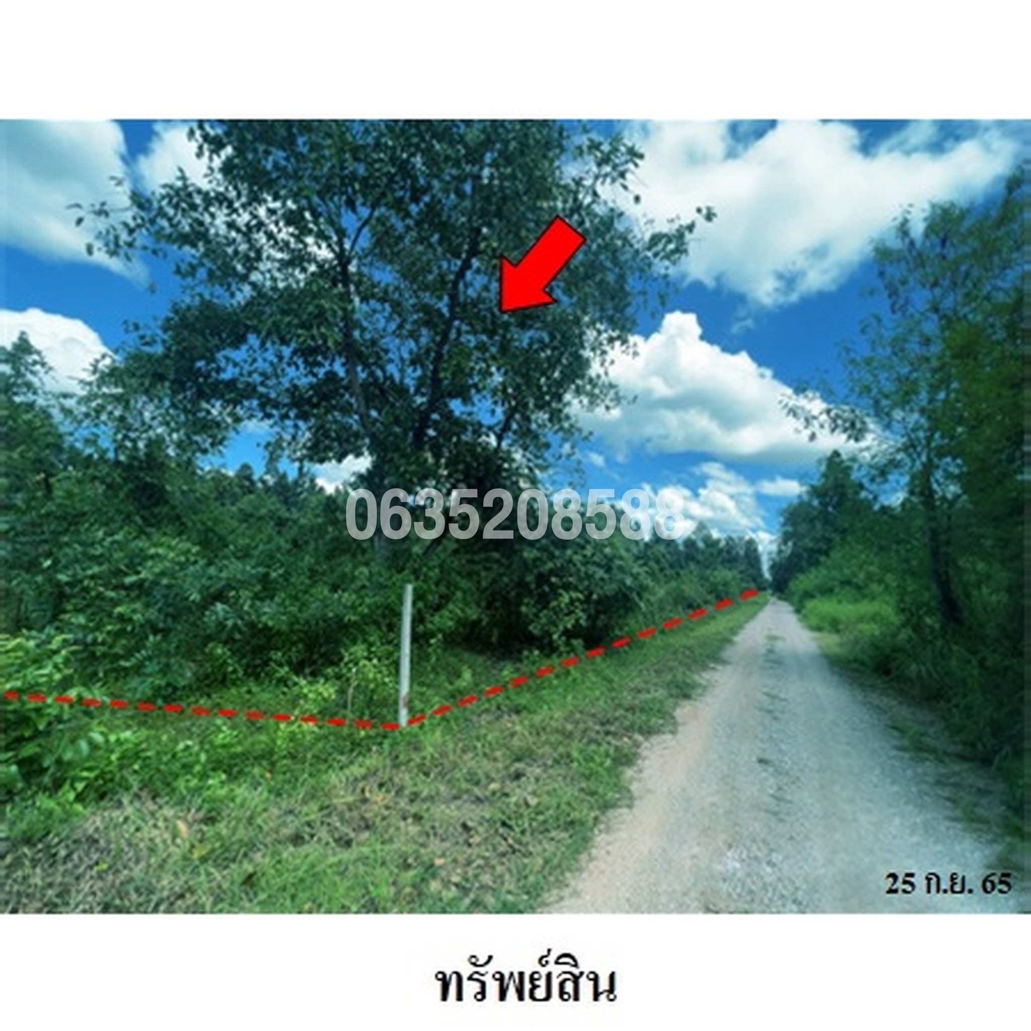 ขายที่ดิน ถนนสายบ้านหนองน้อย-บ้านสถานี (ลป.4267)