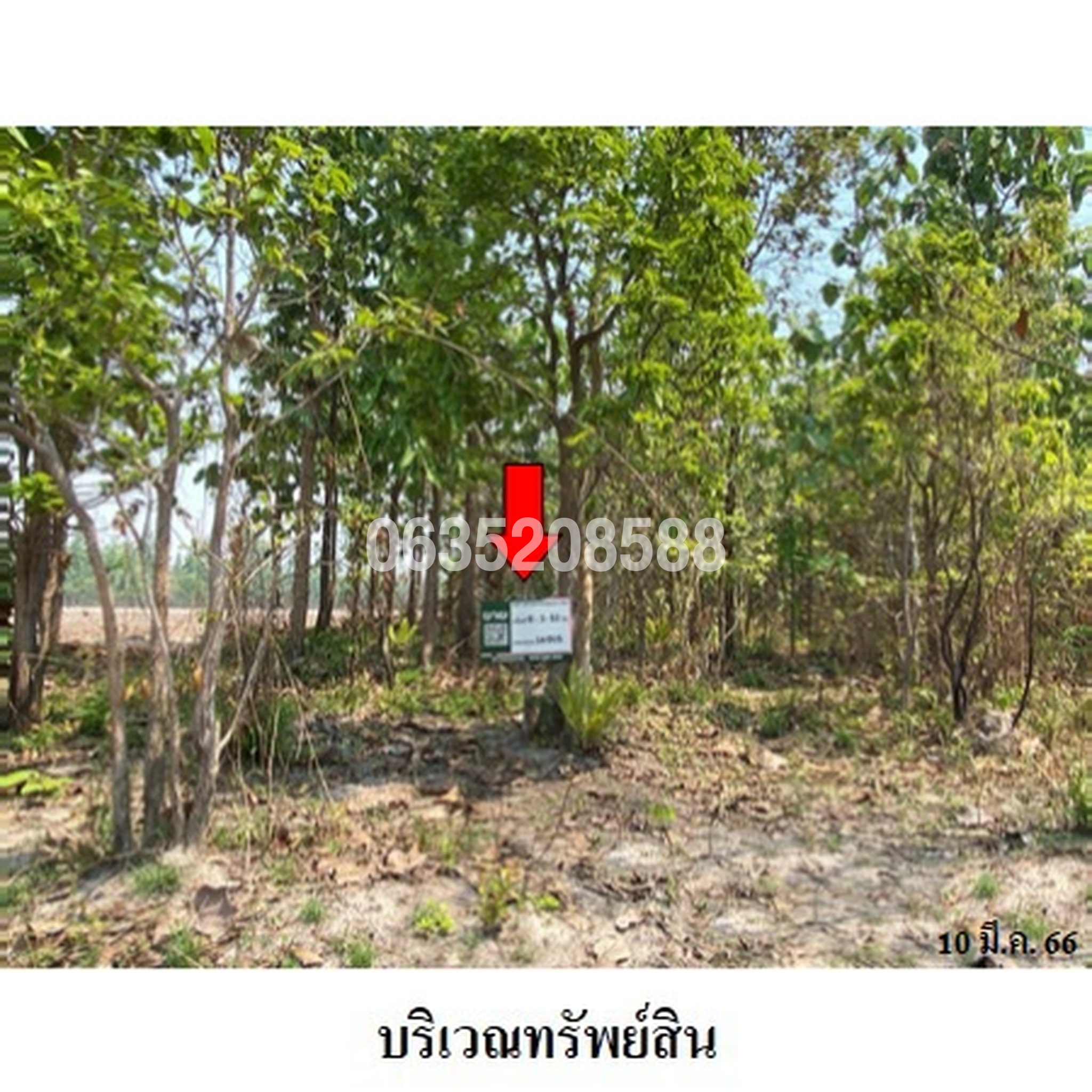 ขายที่ดิน ถนนสายบ้านหนองน้อย-บ้านสถานี (ลป.4267)