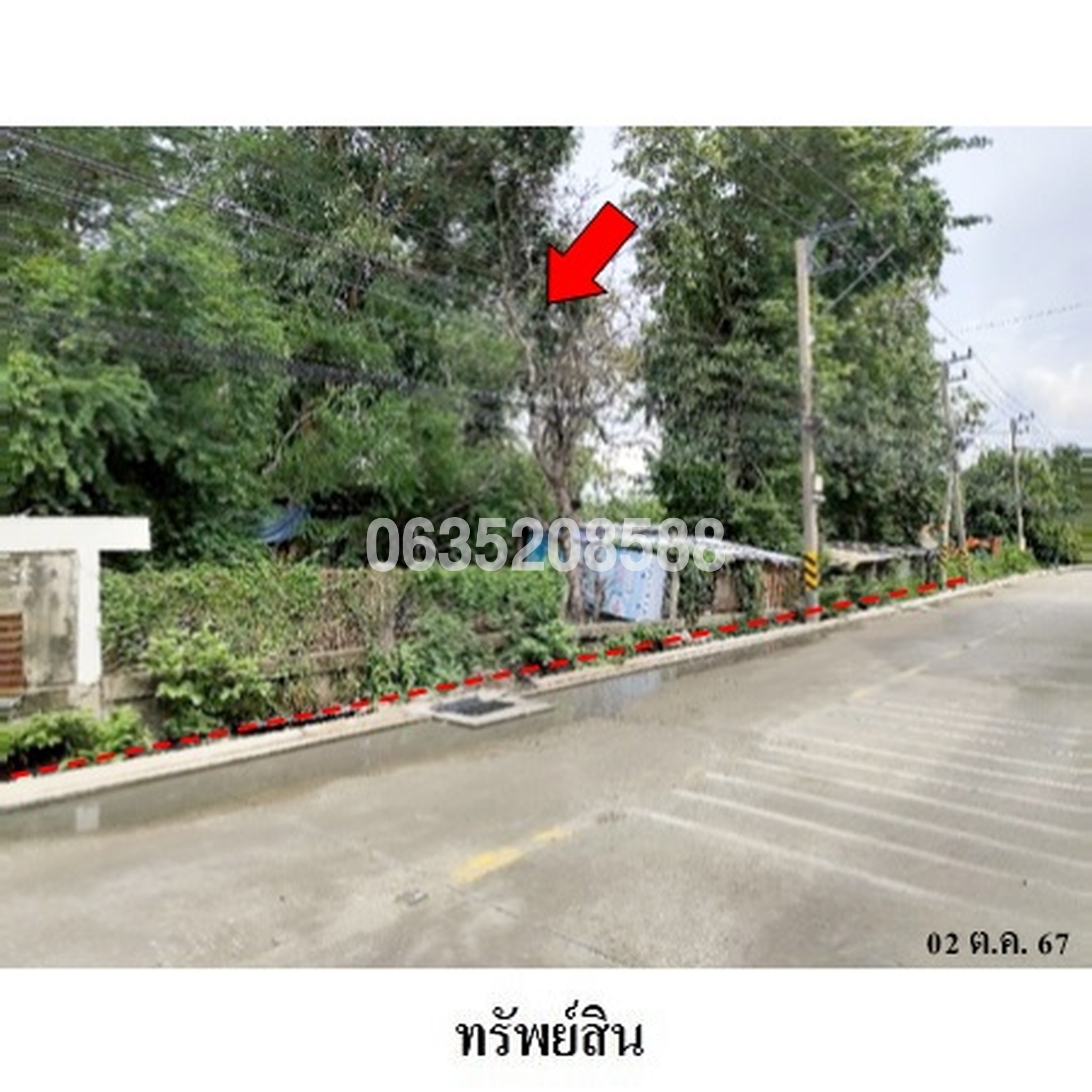 ขายที่ดิน - ซอยบางคุวัด-บางบัวทอง 7 (The Palm Chaengwattana-Chaiyaphruek)