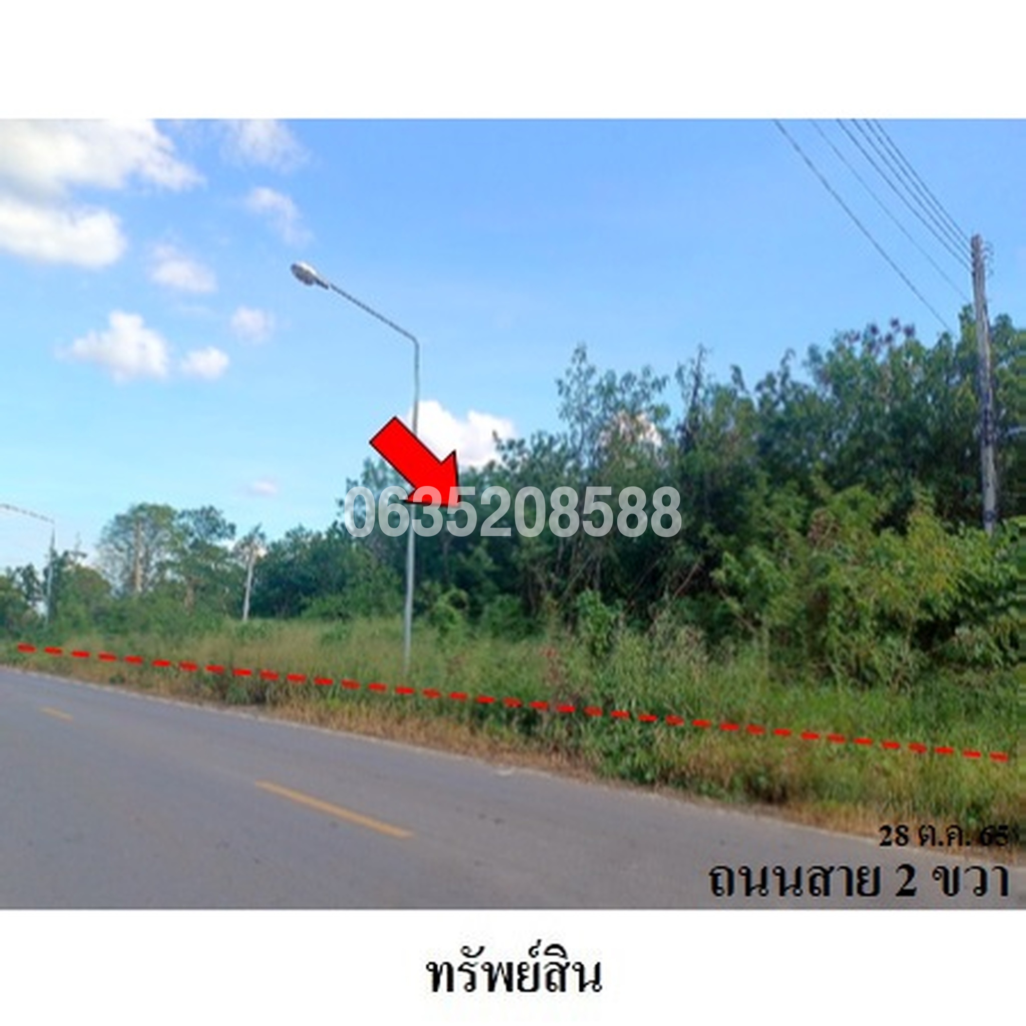 ขายที่ดิน ถนนสระบุรี-หล่มสัก (ทล. 21)