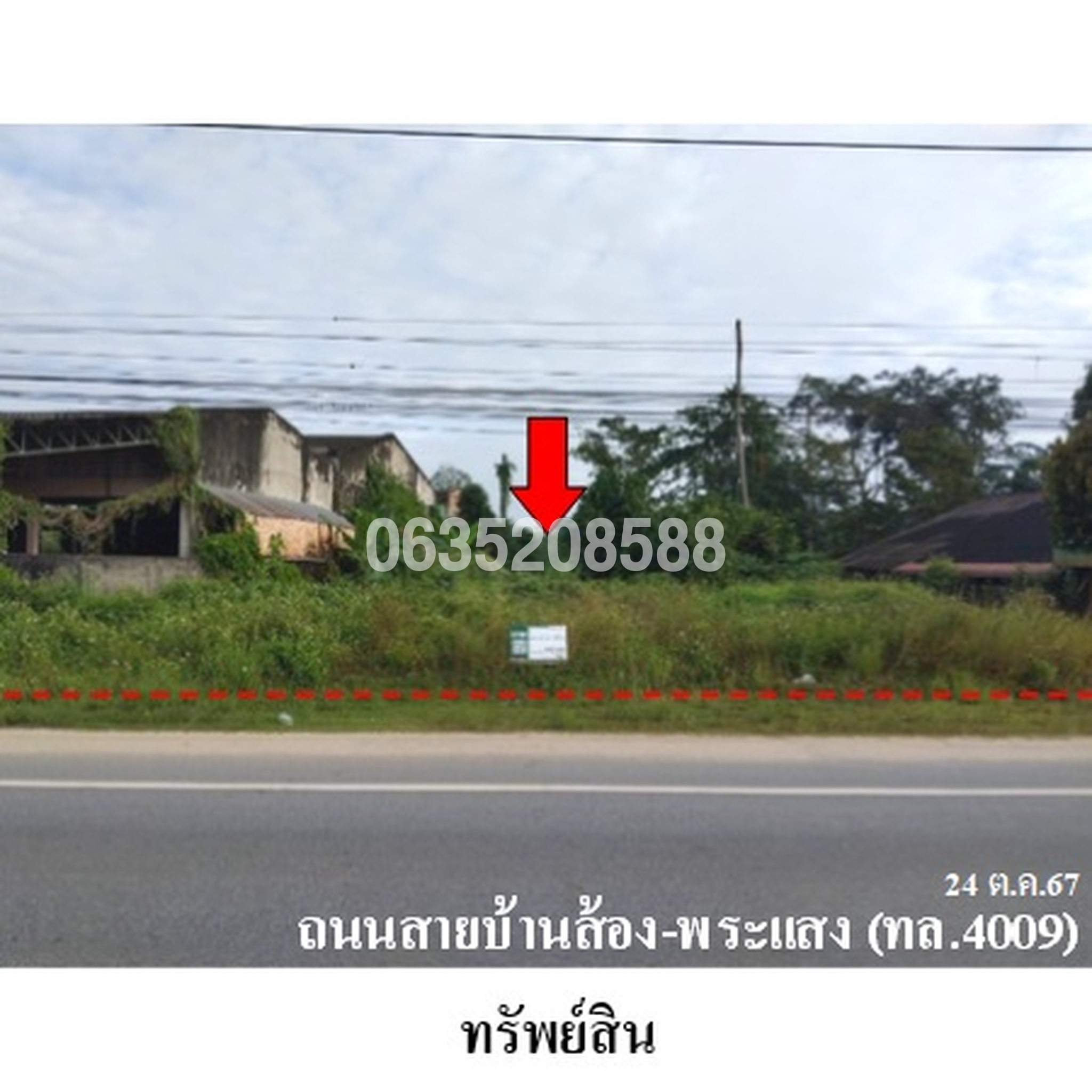ขายที่ดิน ถนนสายบ้านส้อง-พระแสง (ทล.4009)