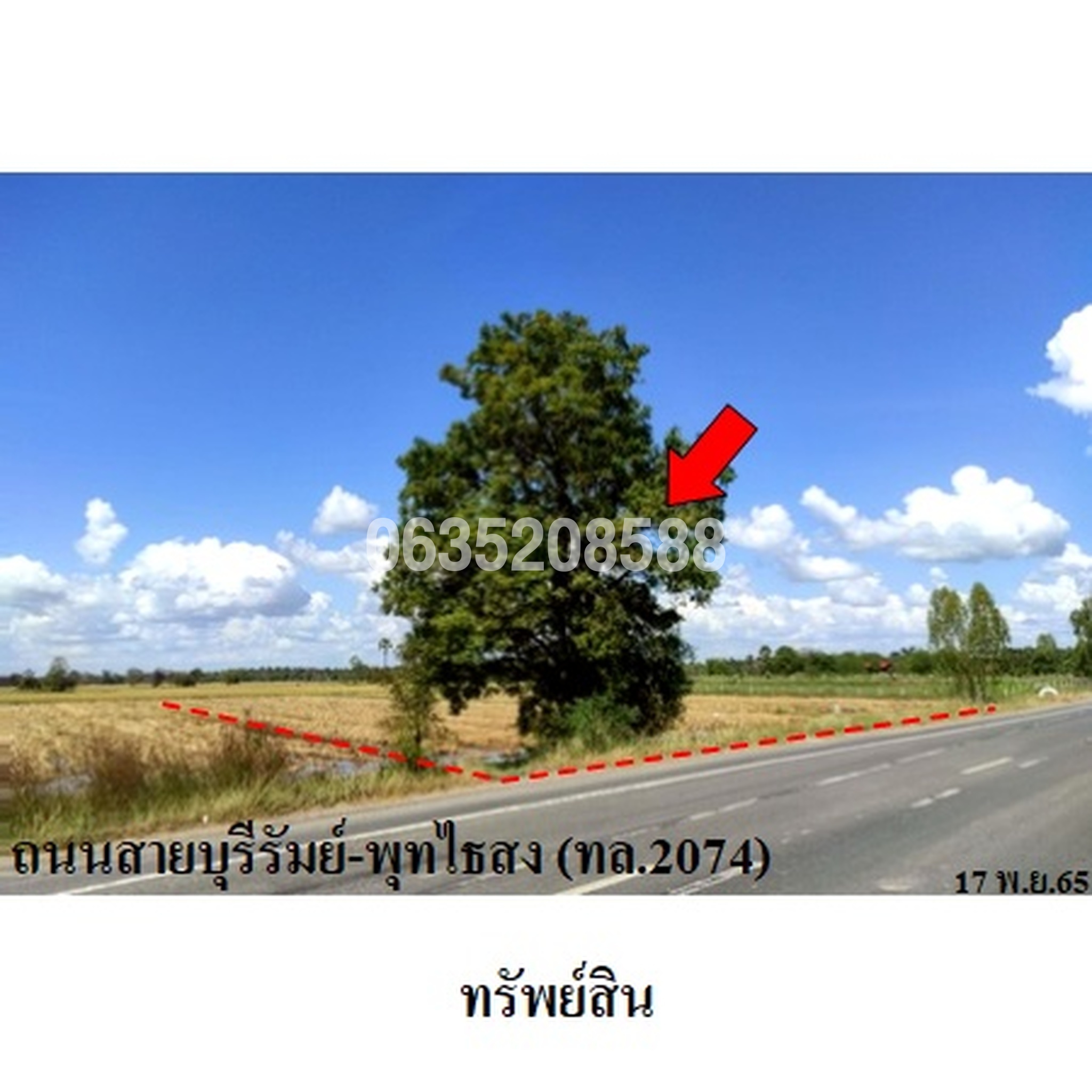 ขายที่ดิน ถนนบุรีรัมย์-พุทไธสง (ทล.2074)