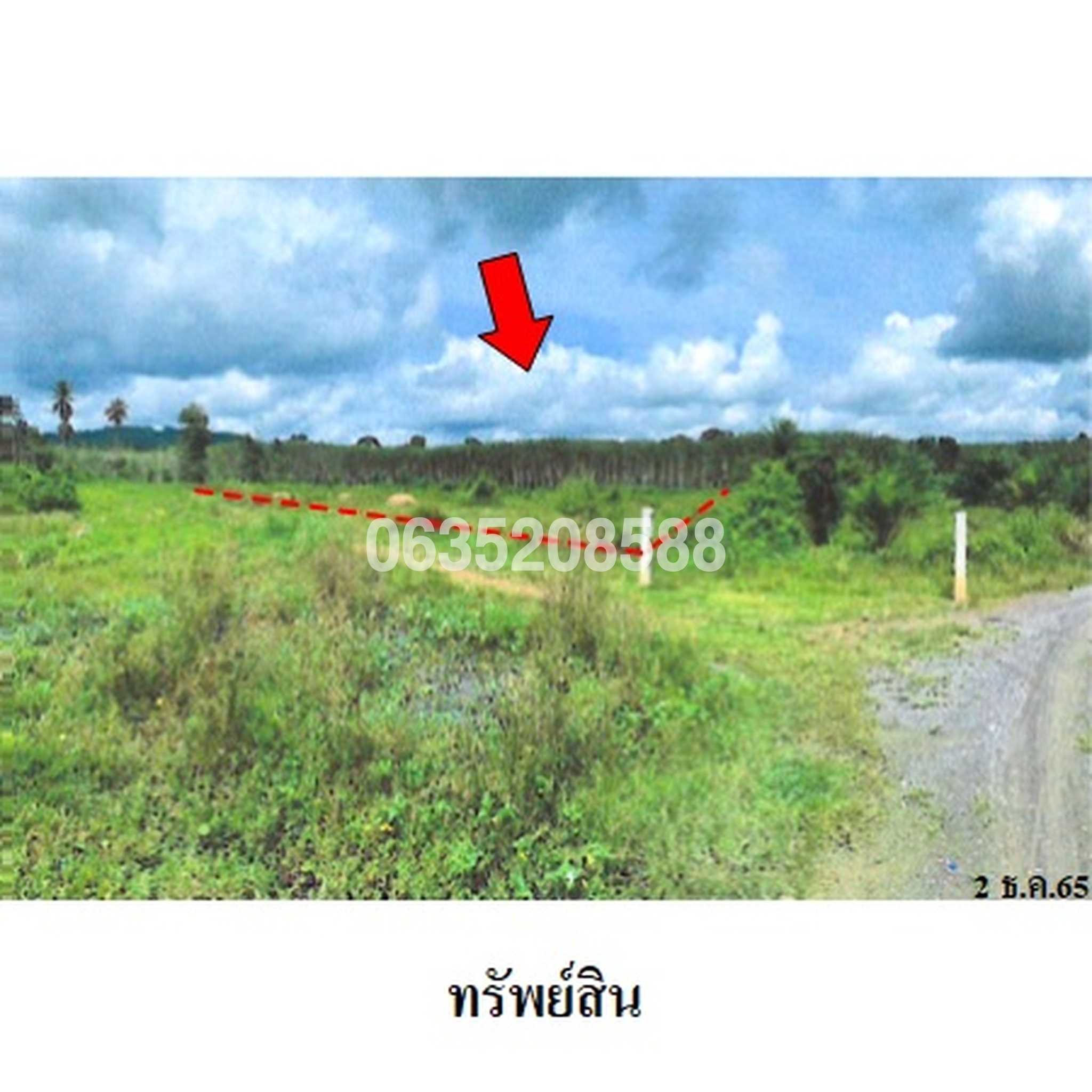 ขายที่ดิน ถนนสายไทรห้อง-บ้านวังขรี (นศ.3022)