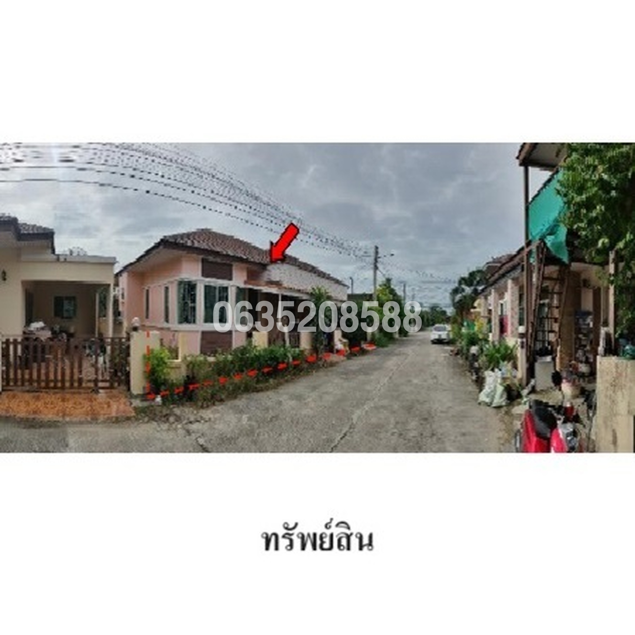 ขายบ้านเดี่ยว พานาปาร์ค