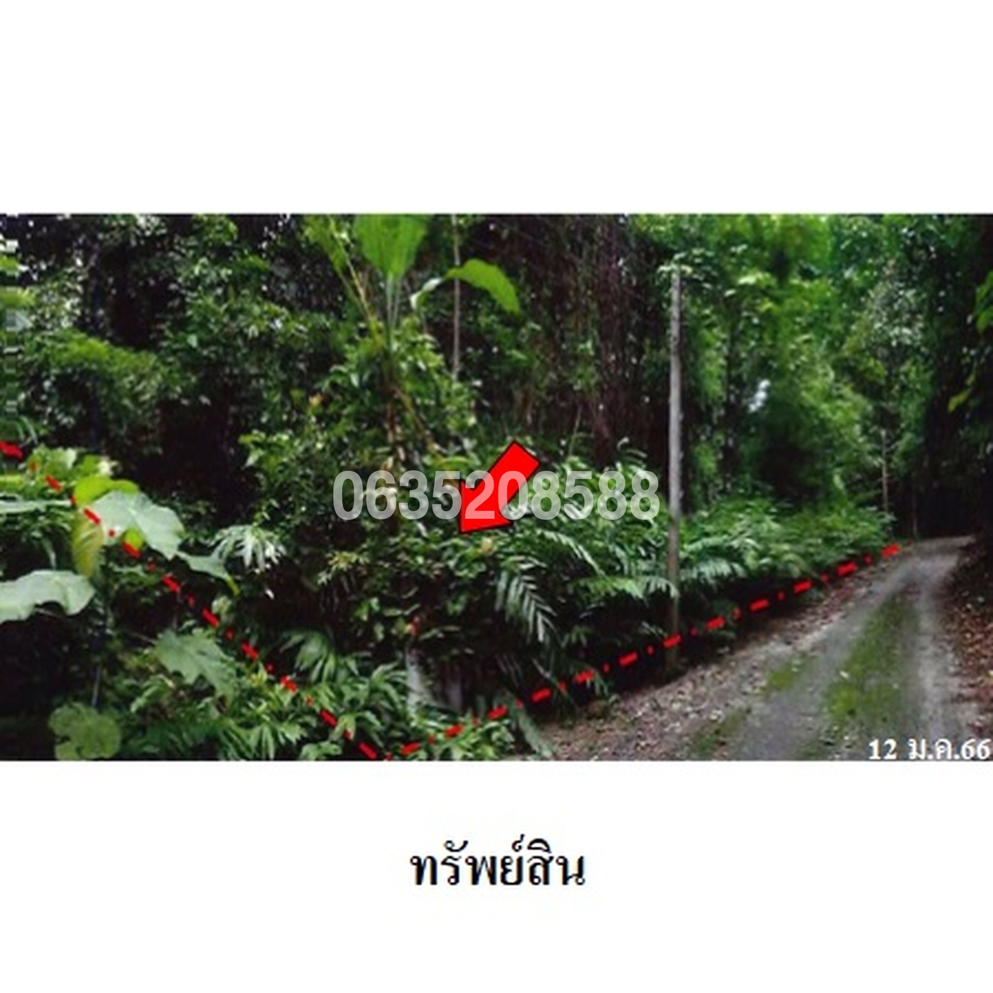 ขายที่ดิน กระทิง คันทรี รีสอร์ท