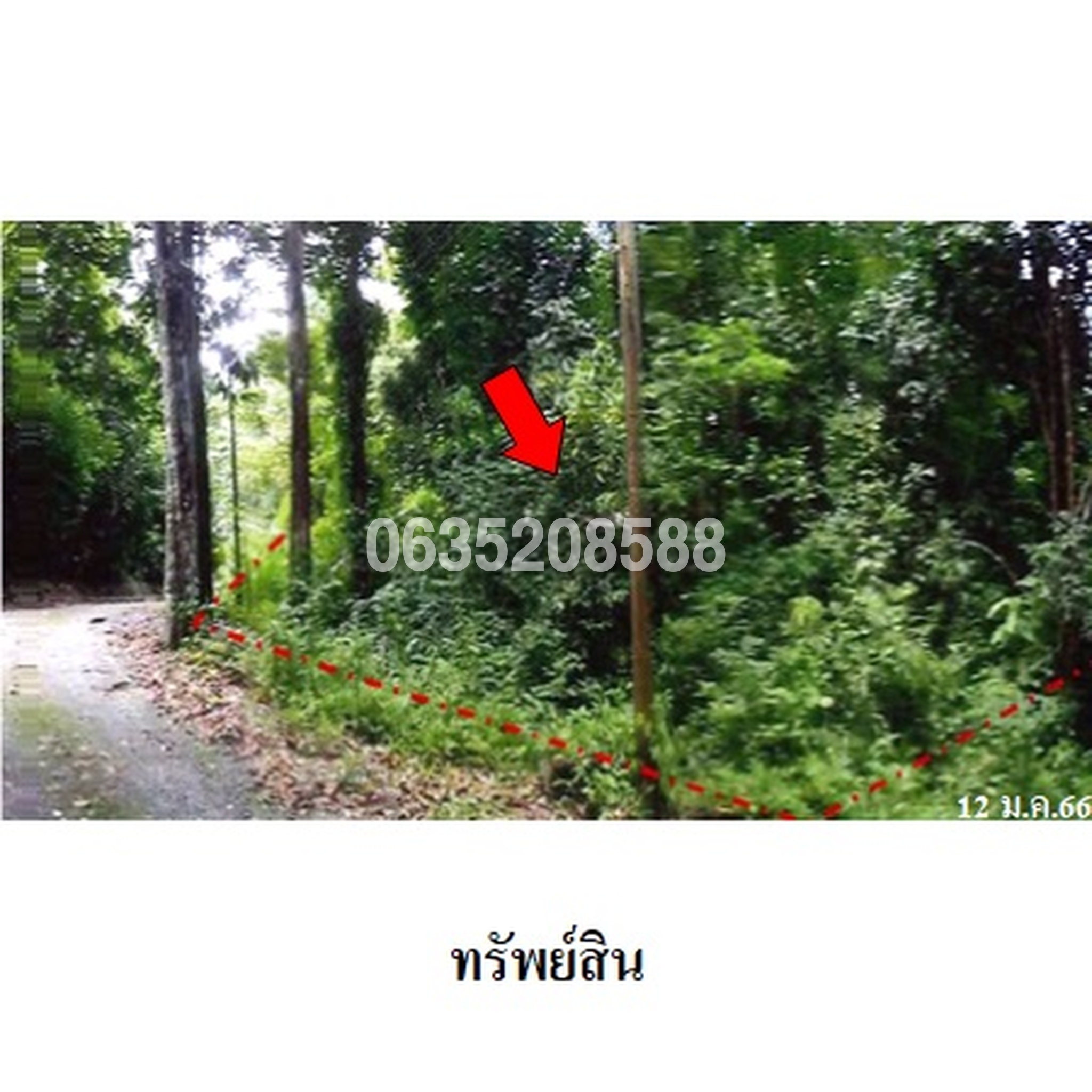 ขายที่ดิน กระทิง คันทรี รีสอร์ท
