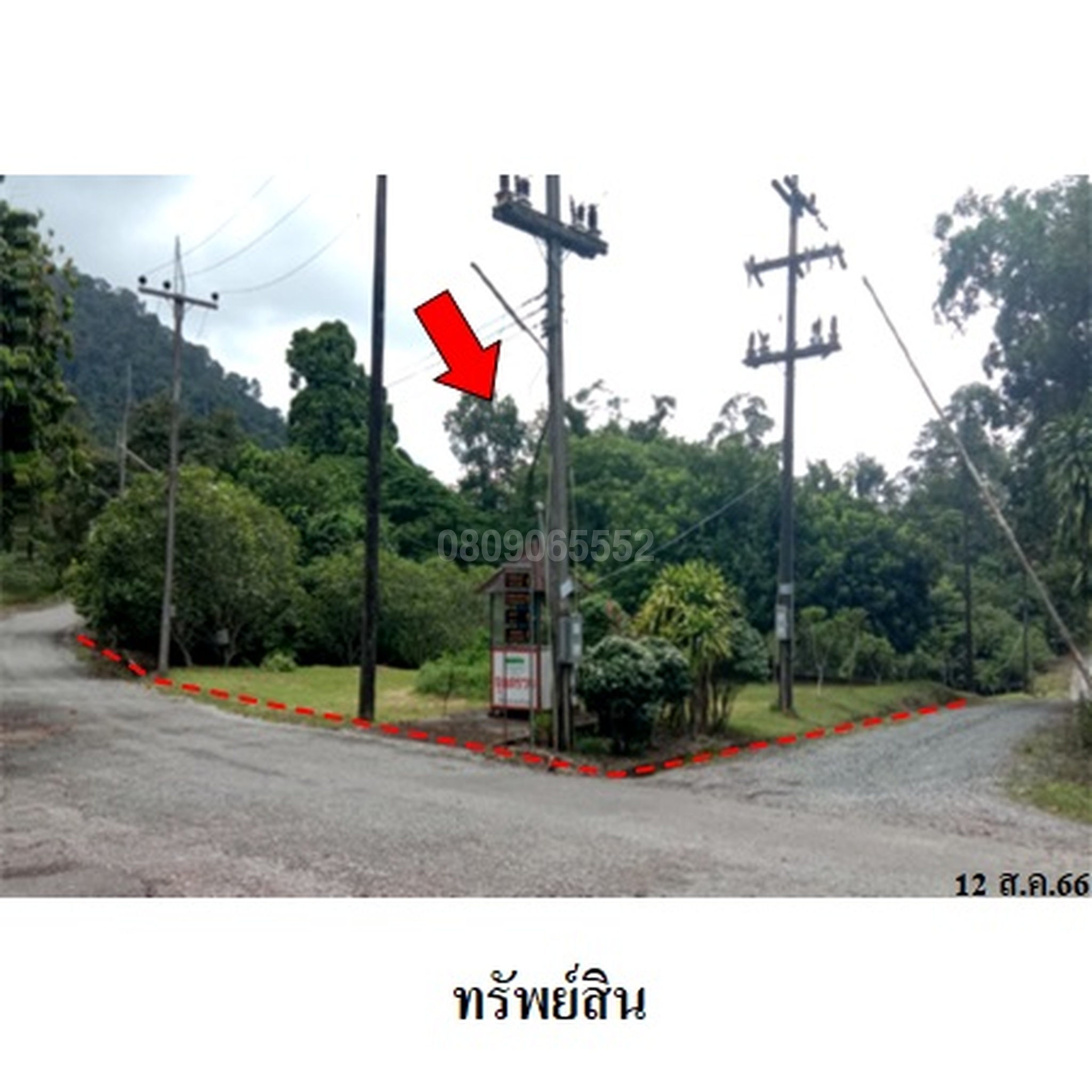 ขายที่ดิน กระทิง คันทรี รีสอร์ท