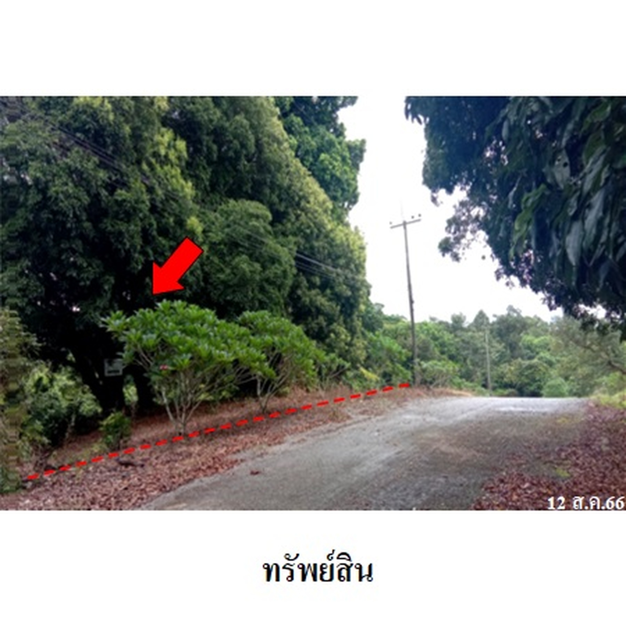 ขายที่ดิน กระทิง คันทรี รีสอร์ท