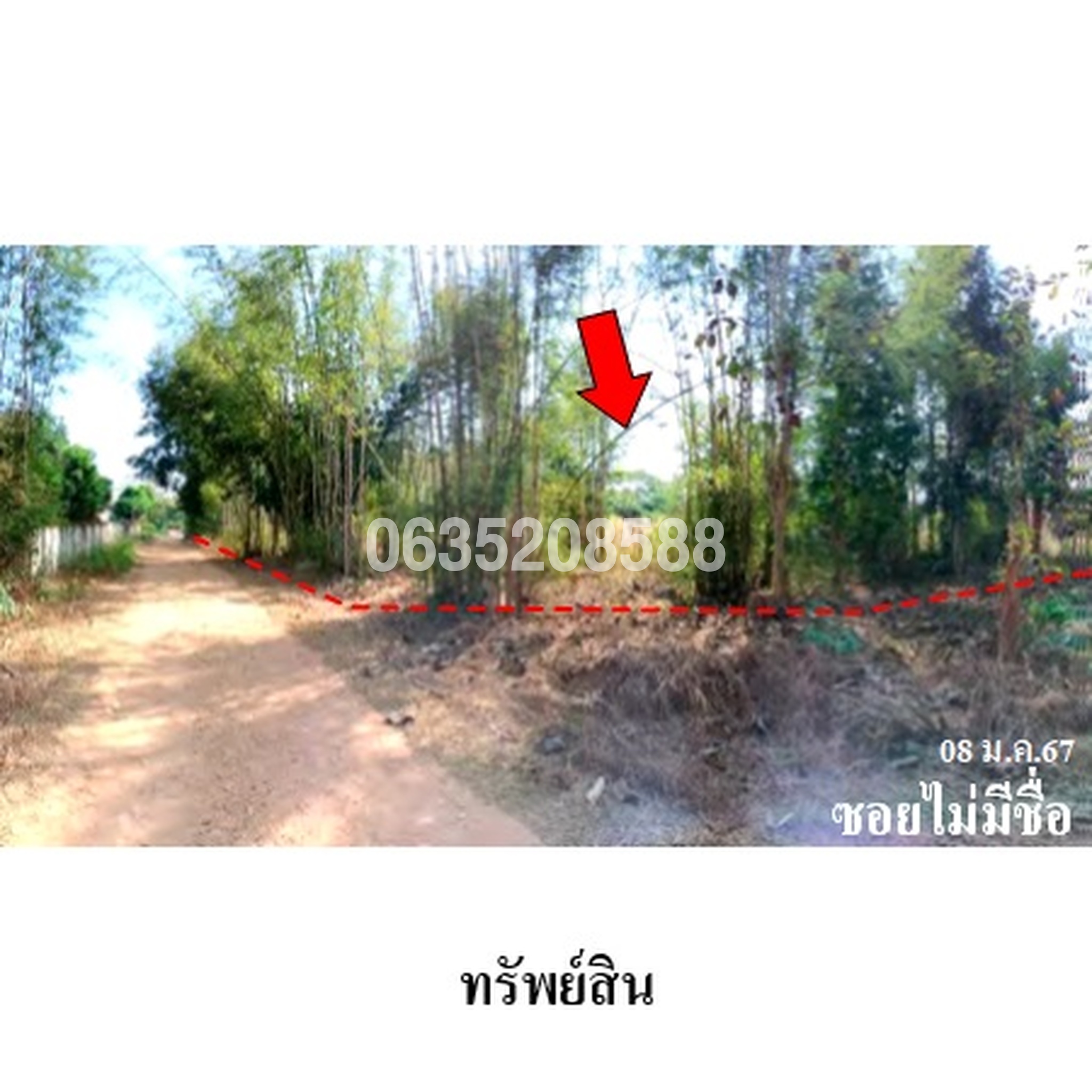ขายที่ดิน ถนนบ้านหนองเหียง หมู่ที่ 2