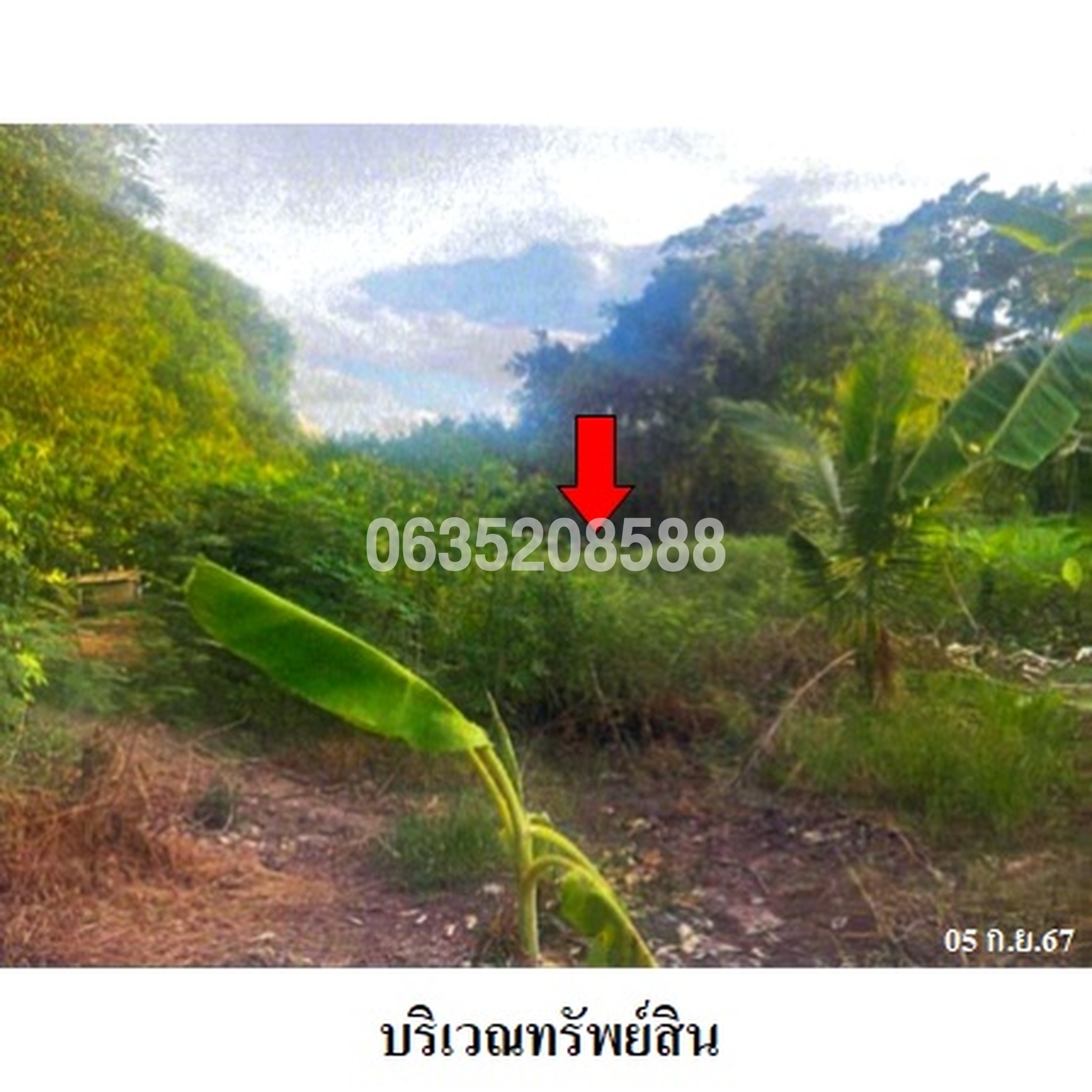 ขายที่ดิน ถนนเลียบคลองรังสิต