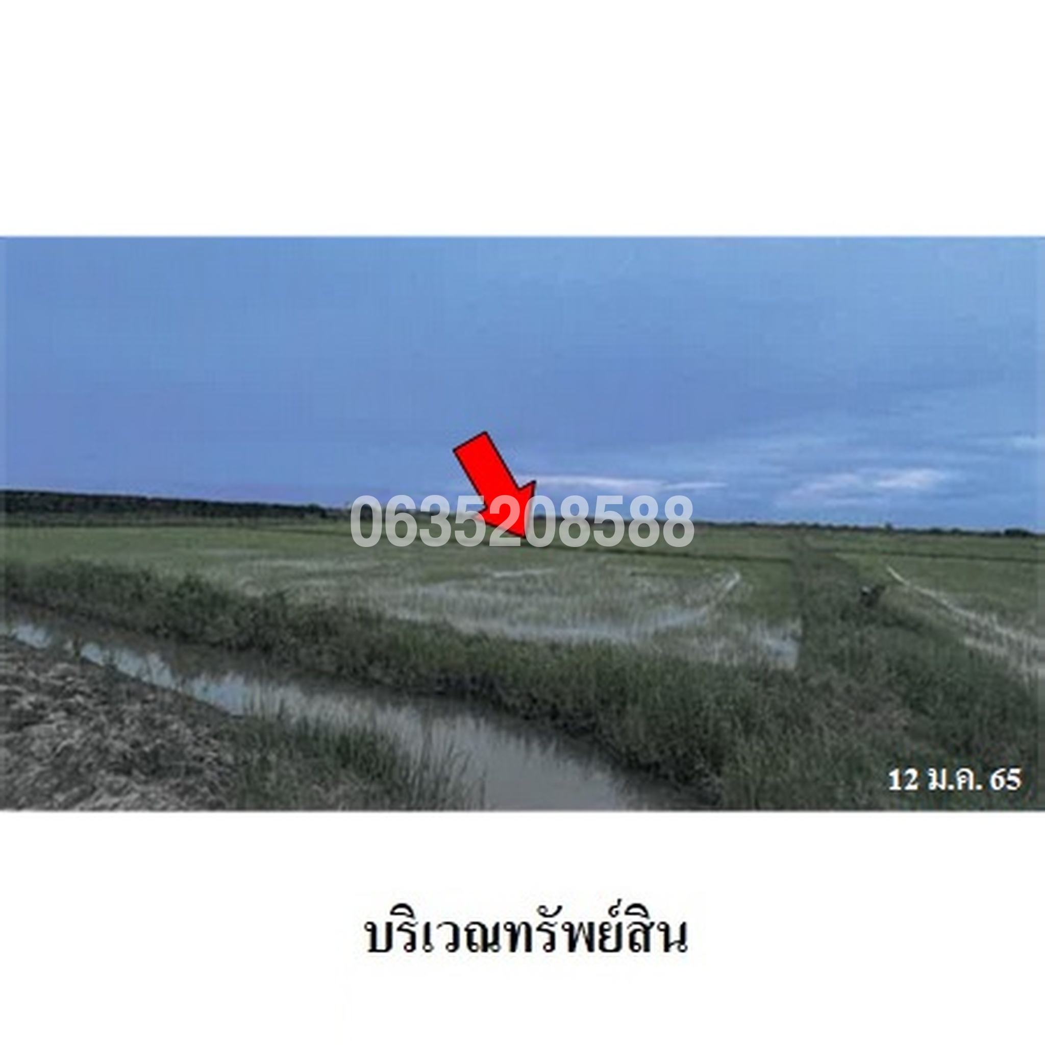 ขายที่ดิน ถนนสายชะอำ-คลองโคน (พบ.4028)
