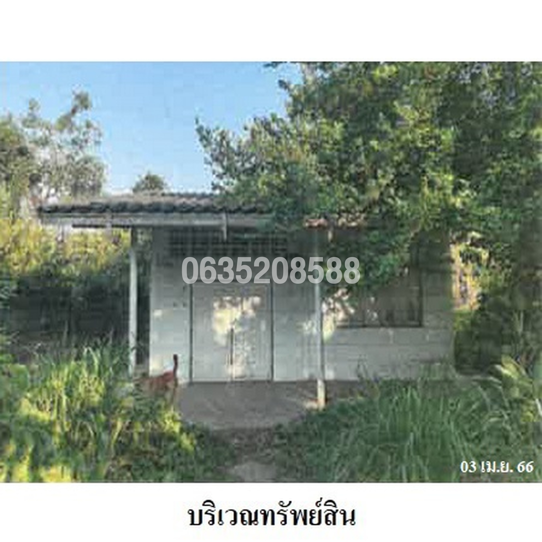 ขายบ้านเดี่ยว ซอยหนองชาก 1/7 ถนนชลบุรี-แกลง (ทล. 334)
