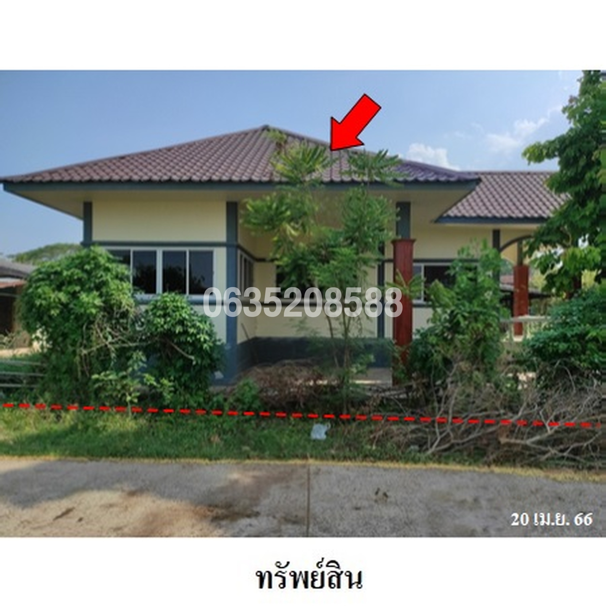 ขายบ้านเดี่ยว ถนนบ้านดงกลาง-เสลภูมิ (รอ.4024)
