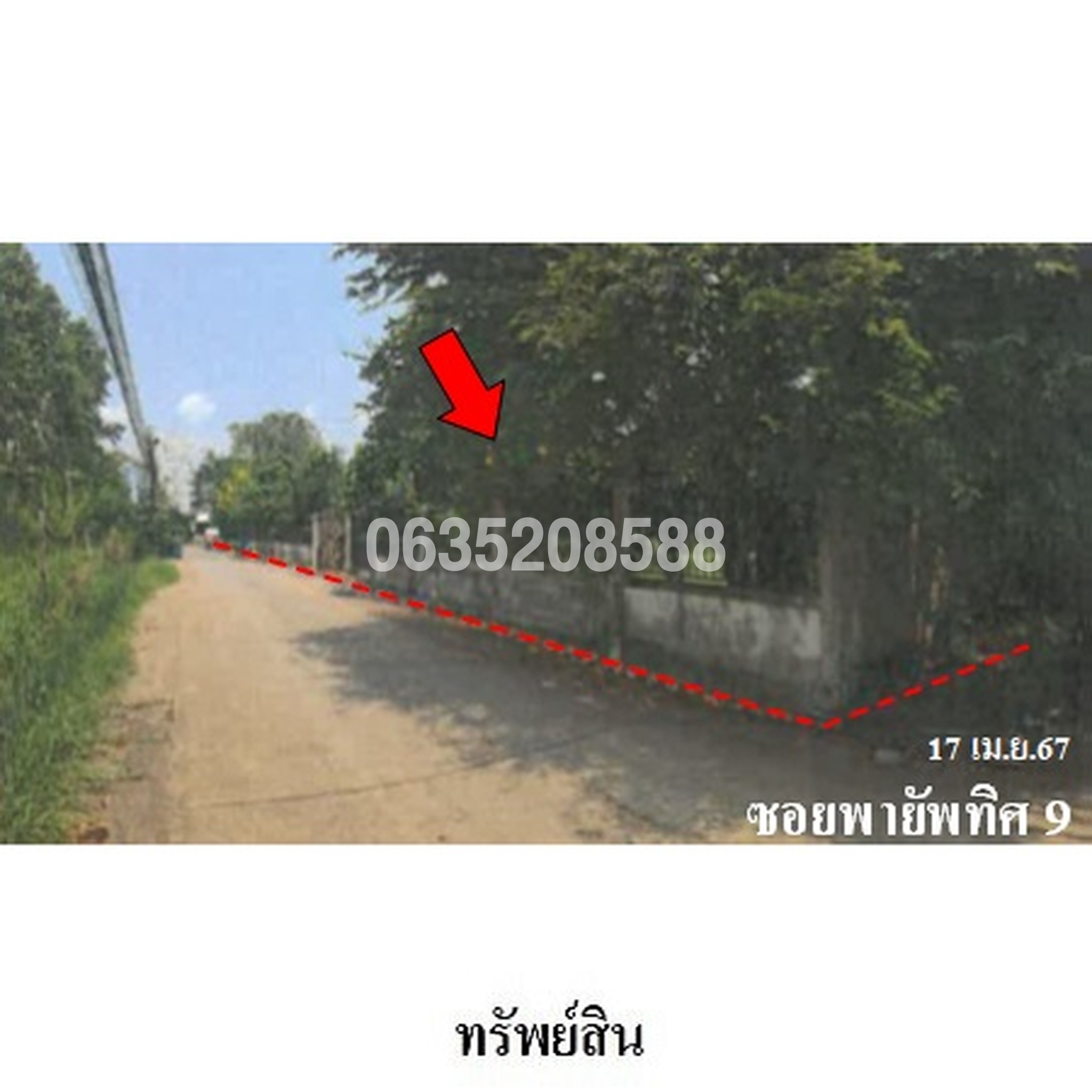 ขายบ้านเดี่ยว ซอยพายัพทิศ 9 ถนนพายัพทิศ
