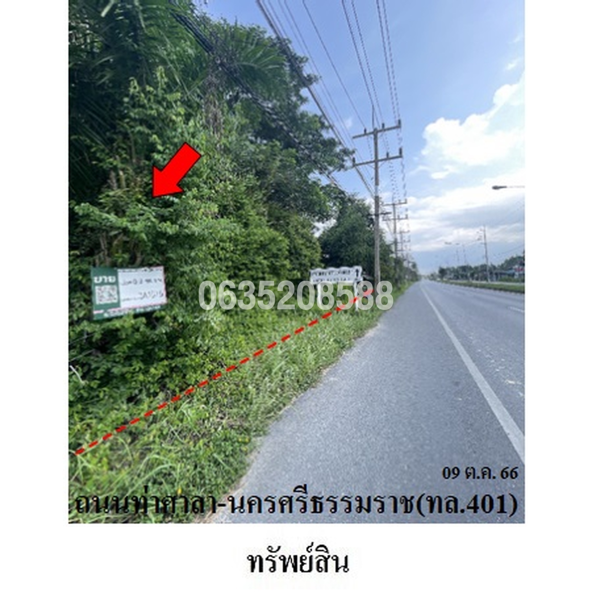 ขายที่ดิน ถนนสายท่าศาลา-นครศรีธรรมราช (ทล.401)