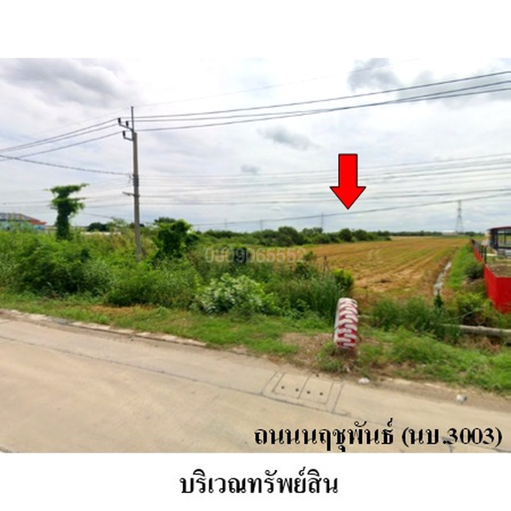 ขายที่ดิน ถนนสายบางบัวทอง-สุพรรณบุรี (ทล.340)