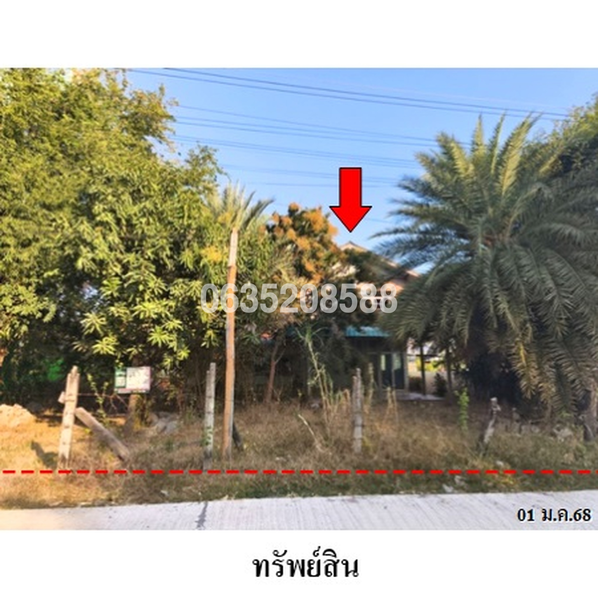 ขายบ้านเดี่ยว ถนนสายชุมแพ-ภูเขียว (ทล.201)