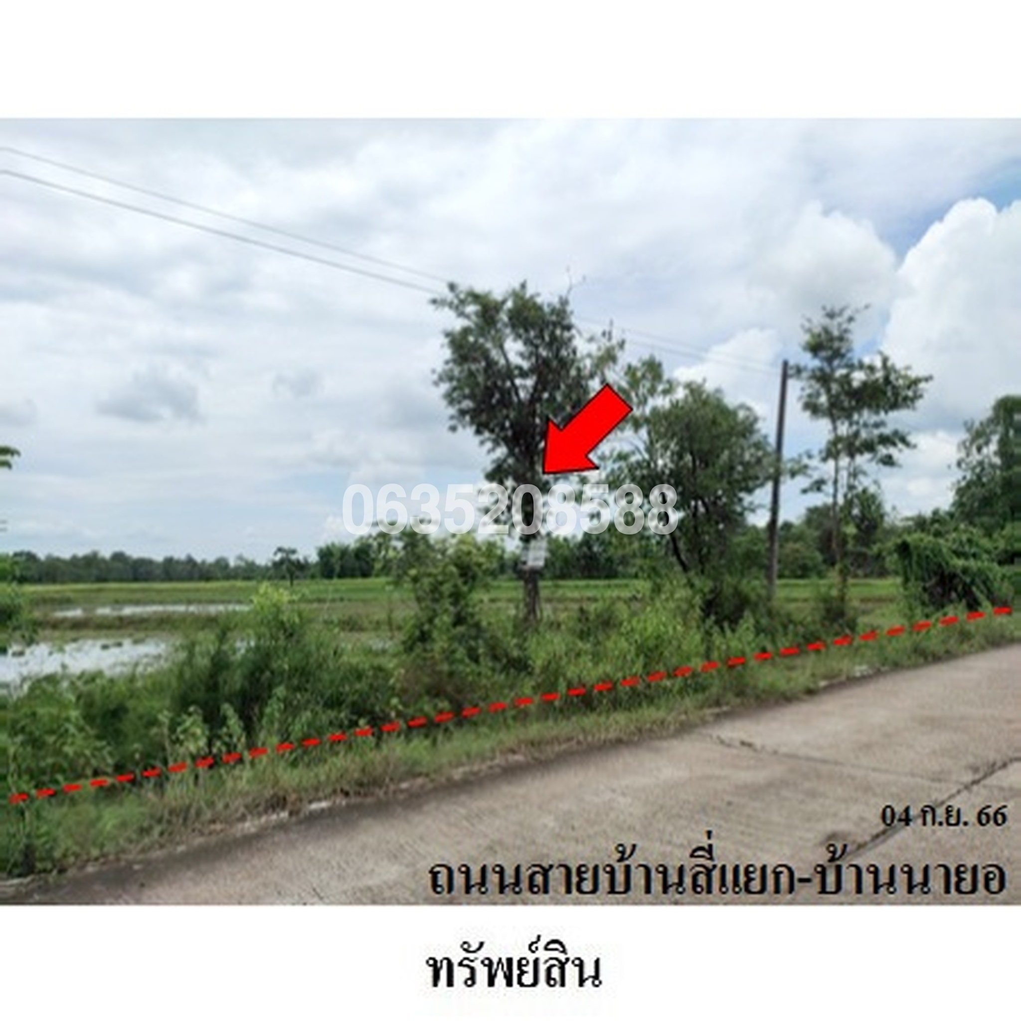 ขายที่ดิน ถนนสายบ้านสี่แยก-บ้านนายอ