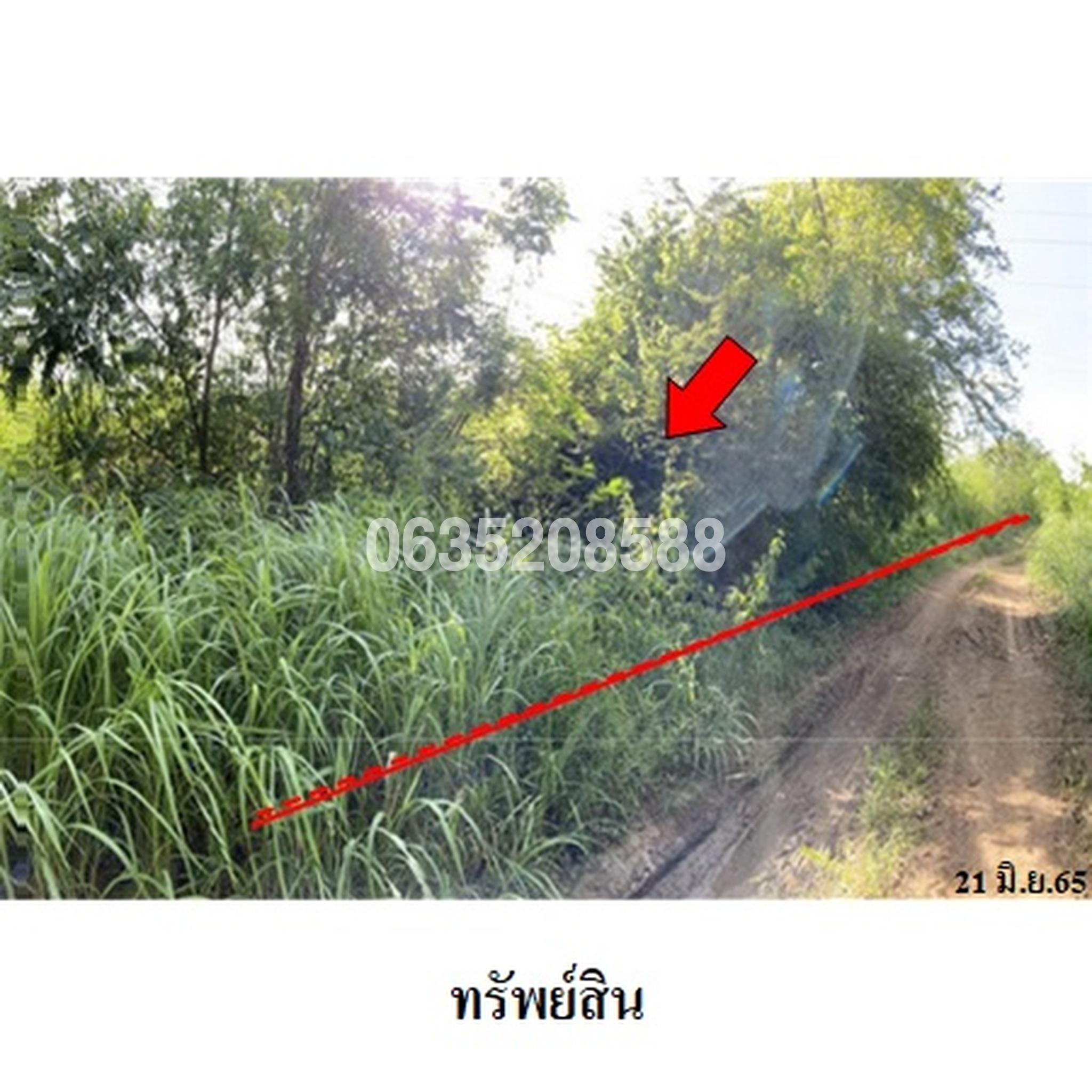 ขายที่ดิน เพชรบูรณ์การ์เด้นฮิลล์