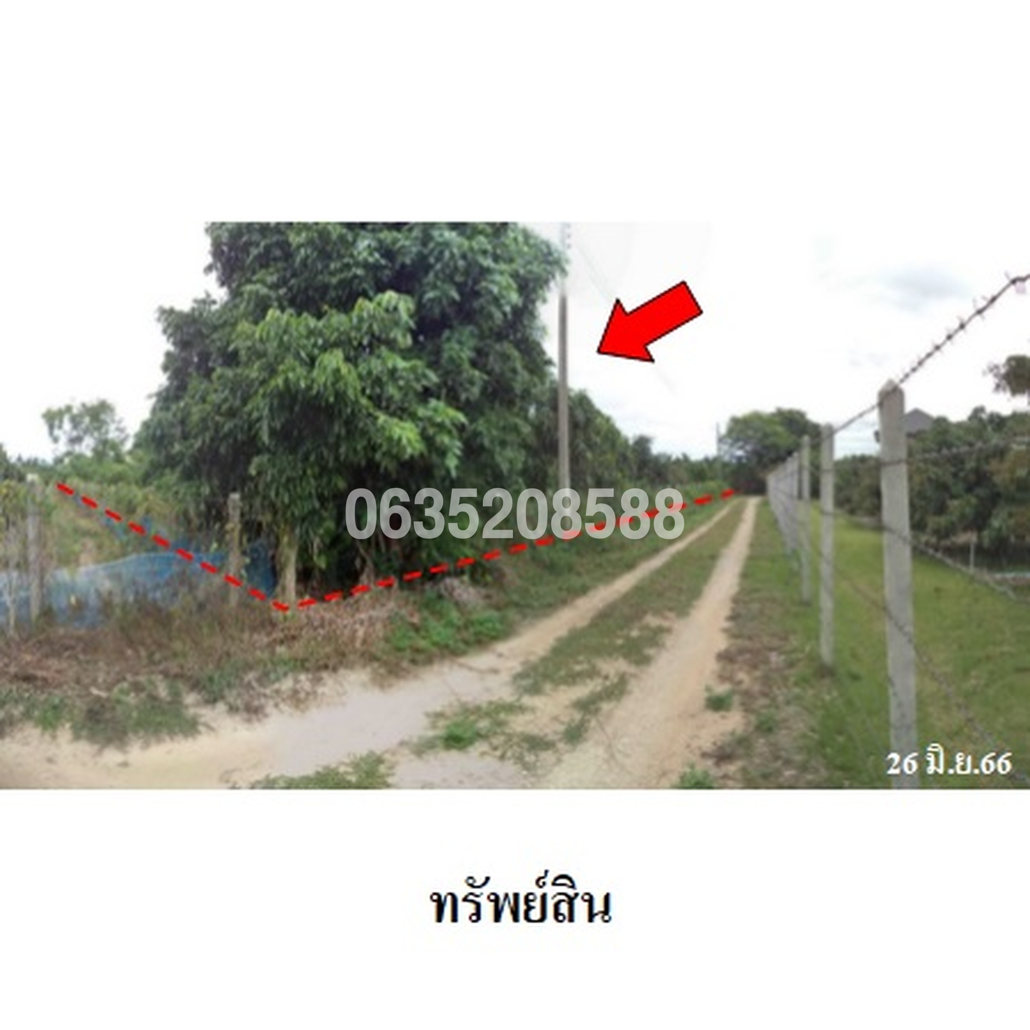 ขายที่ดิน ซอยแยกจากบ้านท่า ซอย 11/10 ถนนเชียงใหม่-ฝาง (ทล.107)