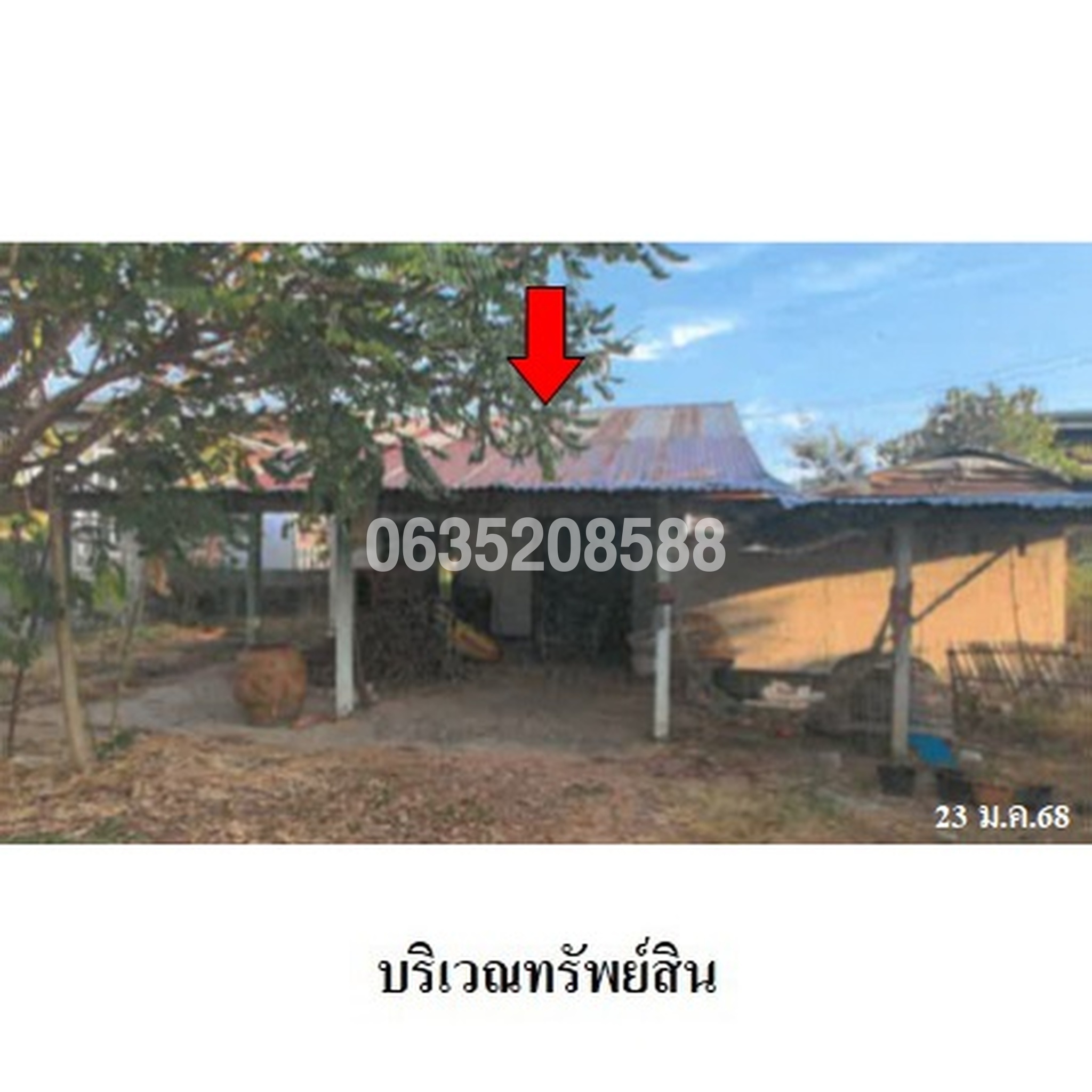 ขายบ้านเดี่ยว ถนนสายบ้านชะโด-บ้านฮ่องสัง (รอ.3012)