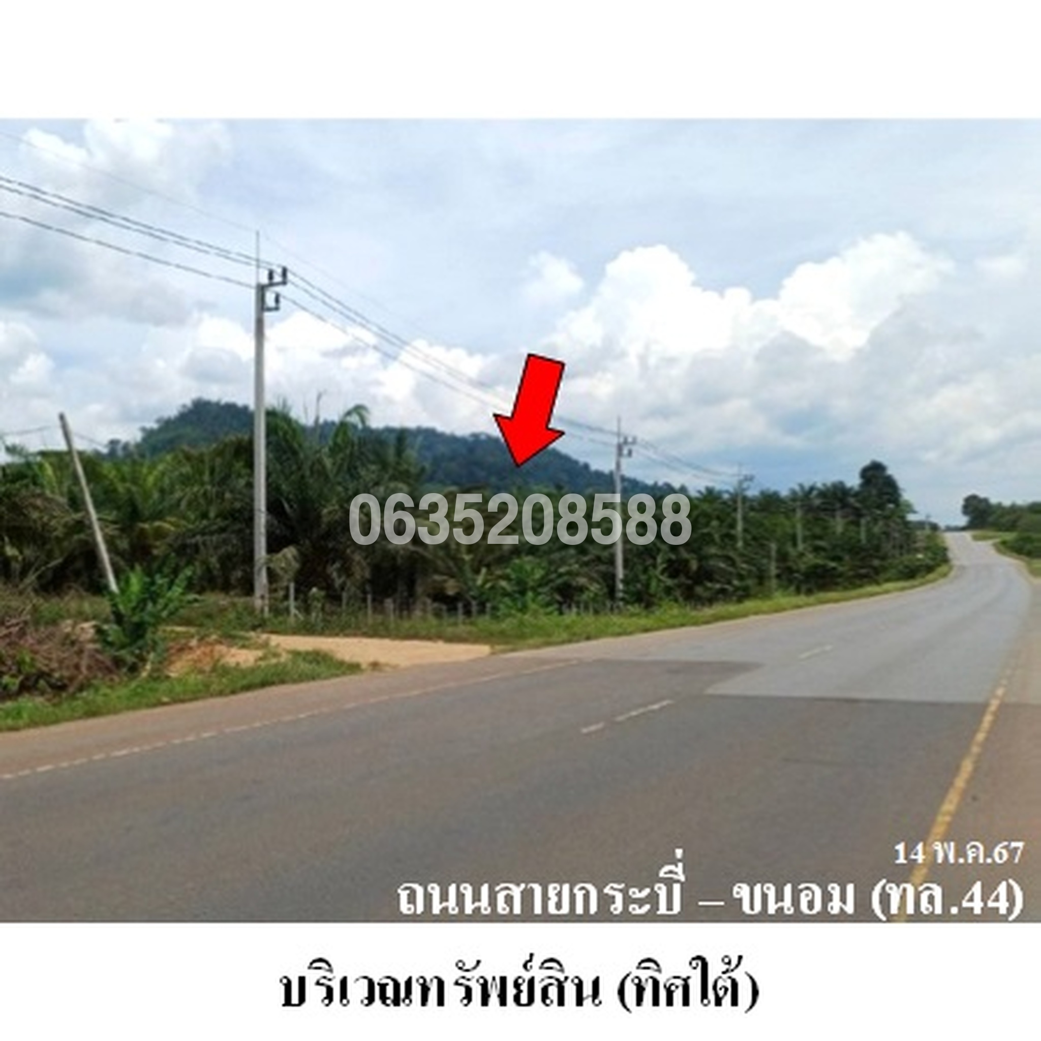 ขายที่ดิน ถนนสายกระบี่-ขนอม (ทล.44)