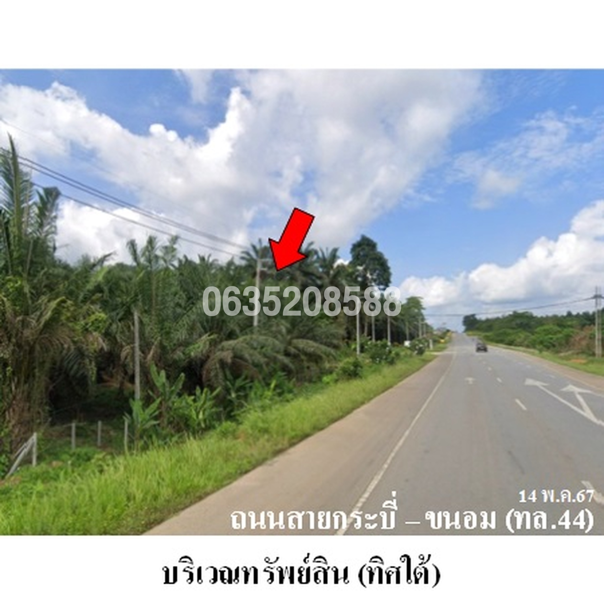 ขายที่ดิน ถนนสายกระบี่-ขนอม (ทล.44)