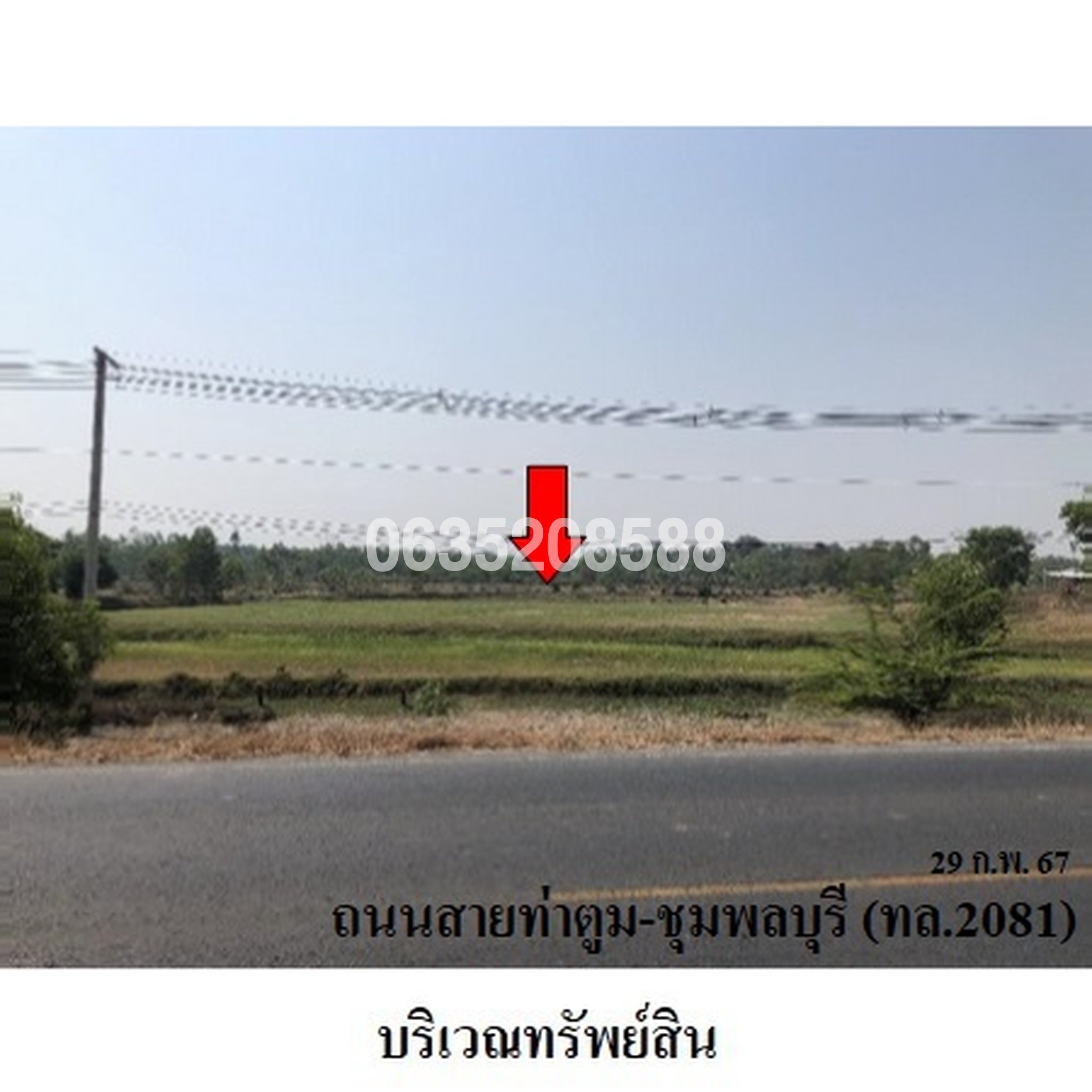 ขายที่ดิน ถนนท่าตูม-ชุมพลบุรี (ทล.2081)