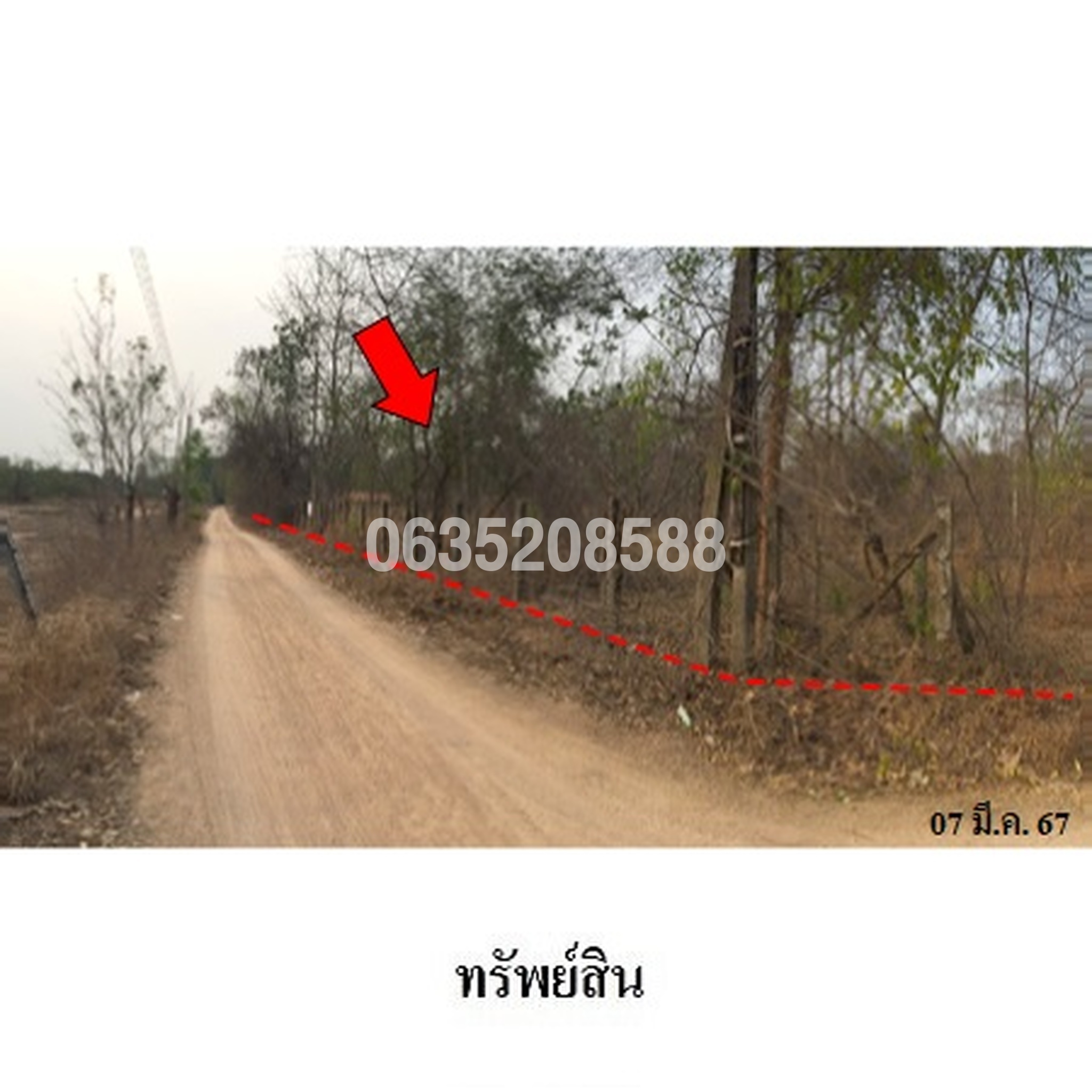 ขายที่ดิน ซอยบ้านนางสุนีย์ - บ้านนายประพนธ์ ถนนตาก-วังเจ้า (ทล.104)