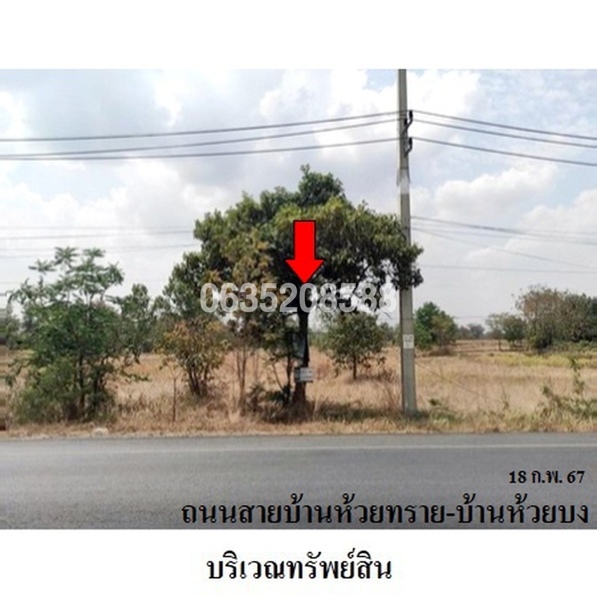 ขายที่ดิน ถนนสายบ้านห้วยทราย-บ้านห้วยบง (นม.3059)