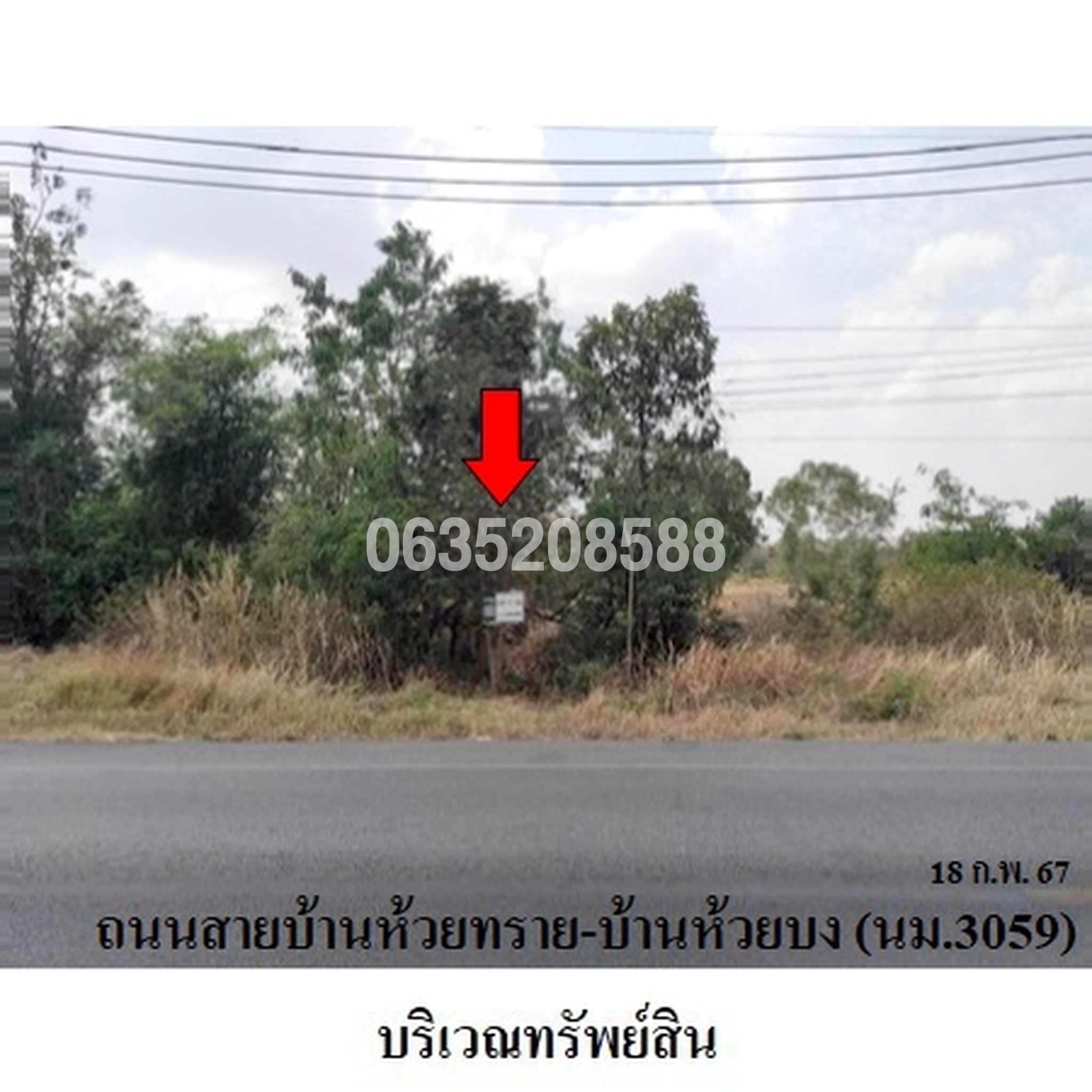 ขายที่ดิน ถนนสายบ้านห้วยทราย-บ้านห้วยบง (นม.3059)