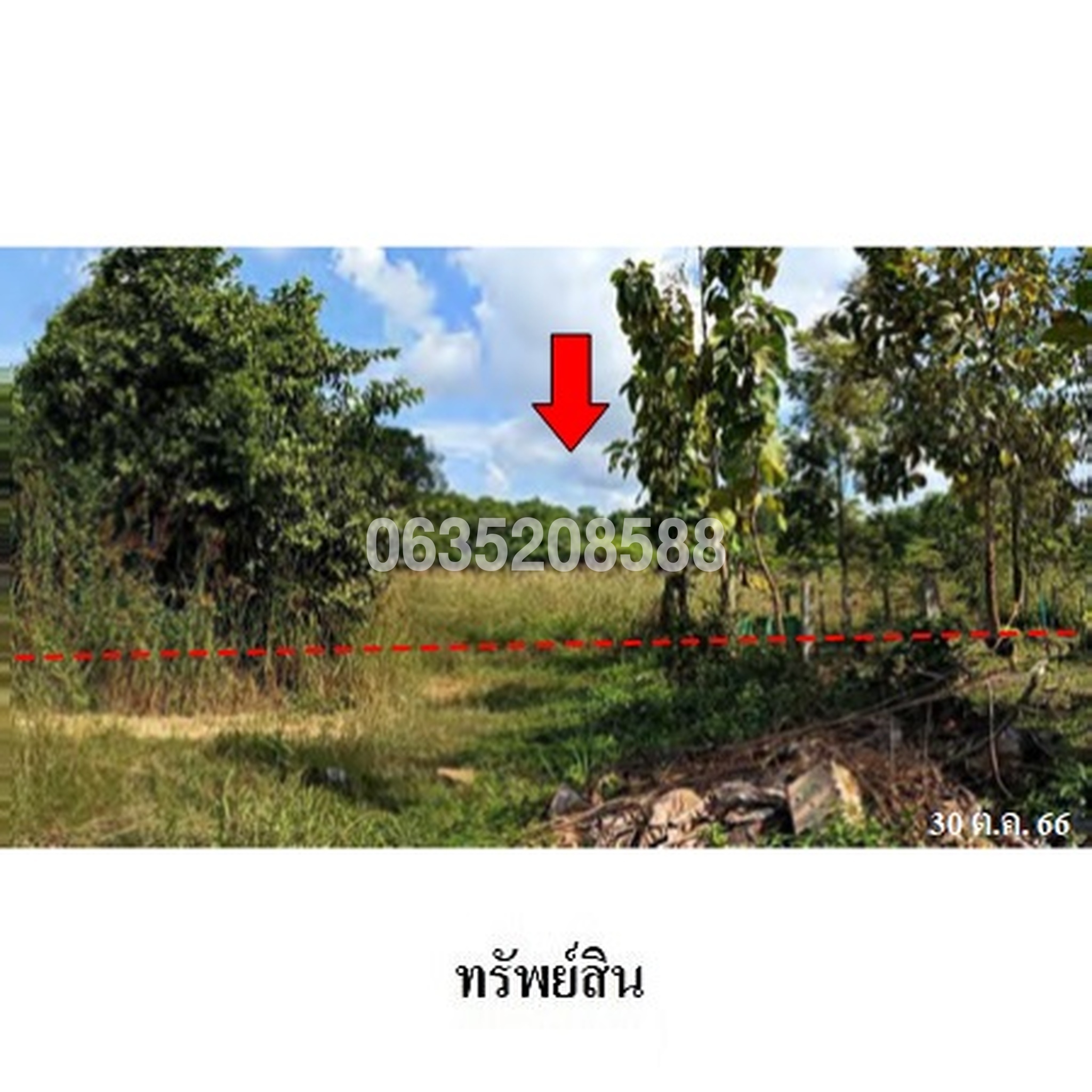 ขายที่ดิน ถนนลำปาง-ห้างฉัตร (ทล.1039)