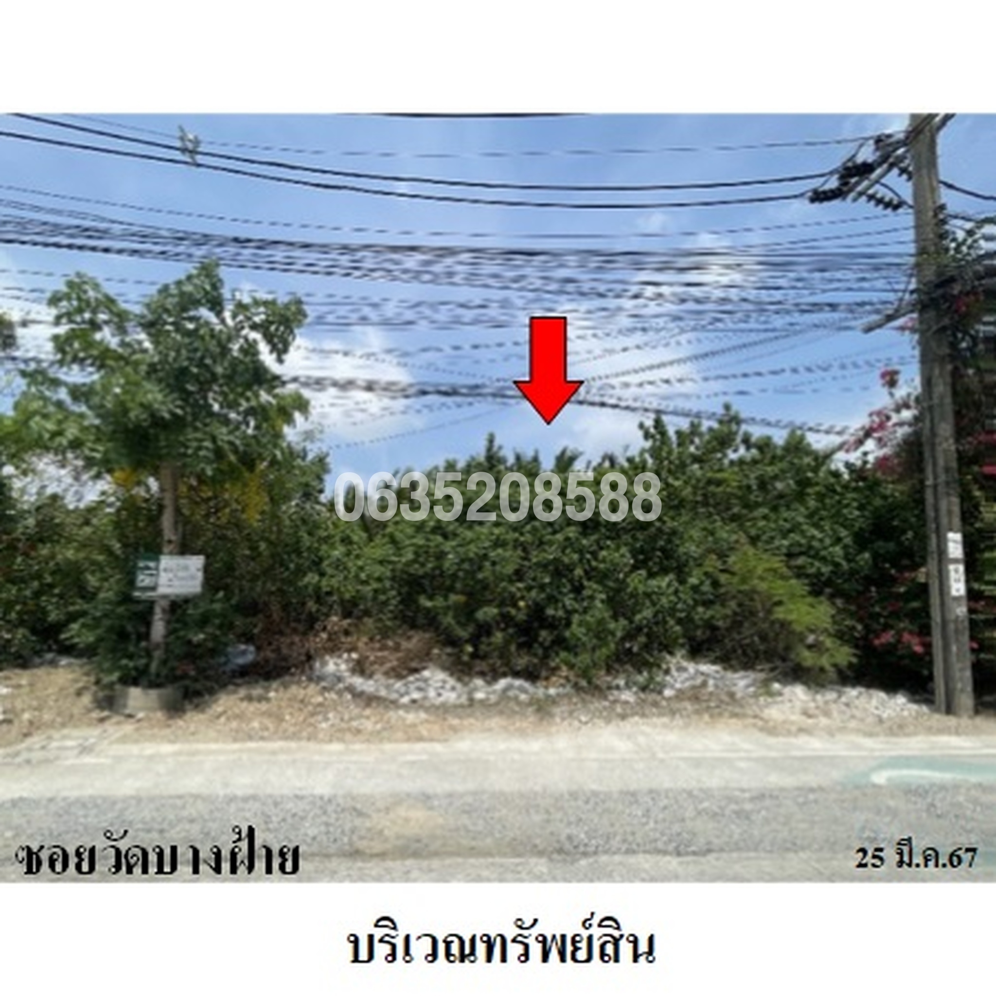 ขายที่ดิน ซอยวัดบางฝ้าย ถนนปู่เจ้าสมิงพราย (ทล.3113)