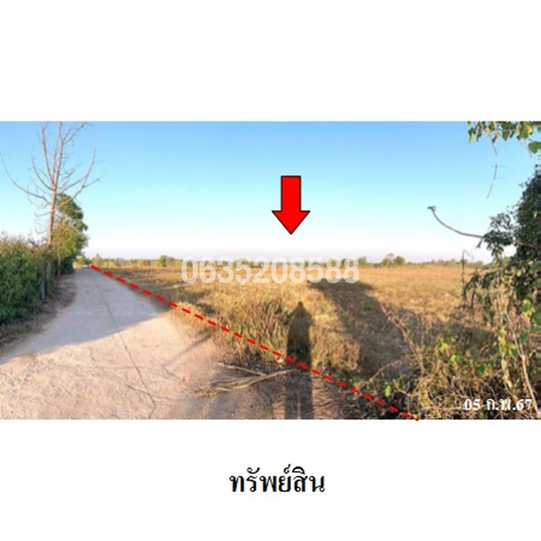 ขายที่ดิน ถนนมหาสารคาม-โกสุมพิสัย (ทล.208)