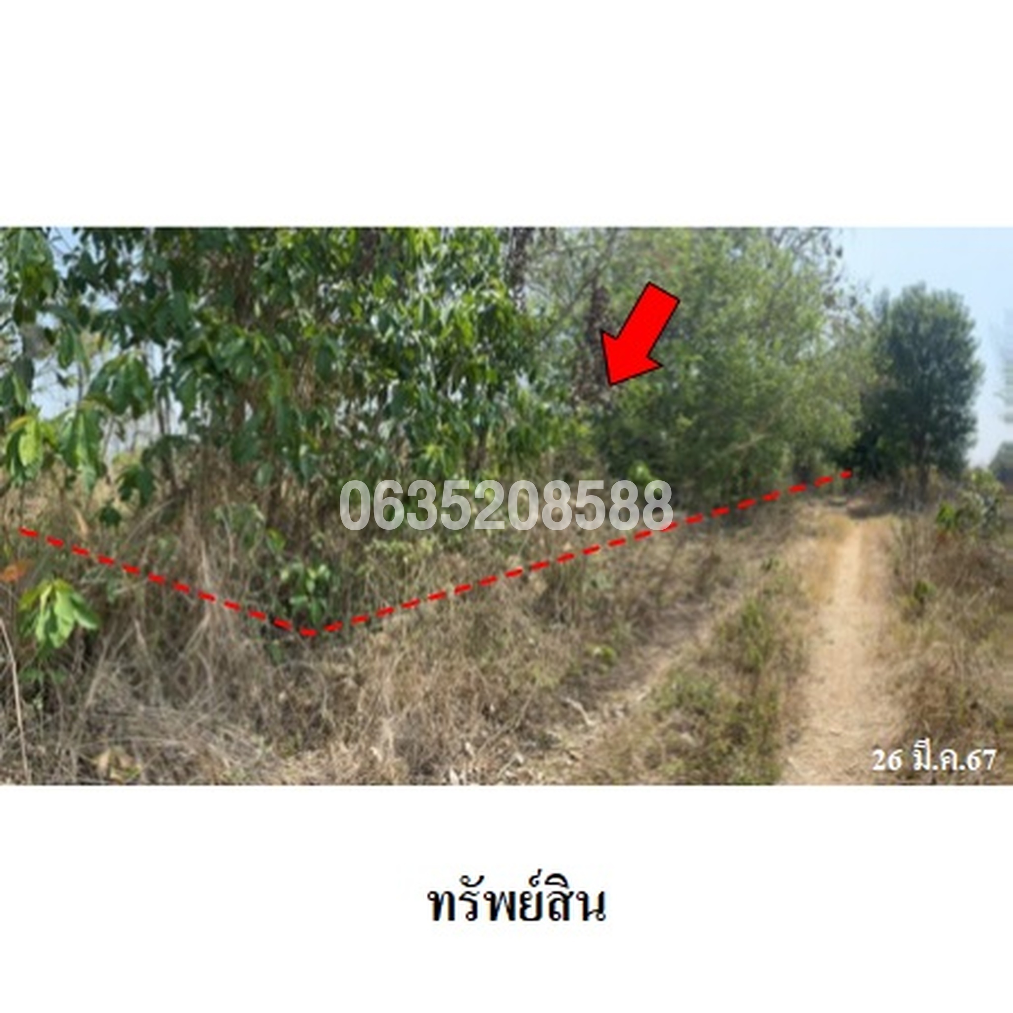 ขายที่ดิน ถนนบ้านหนองบัว