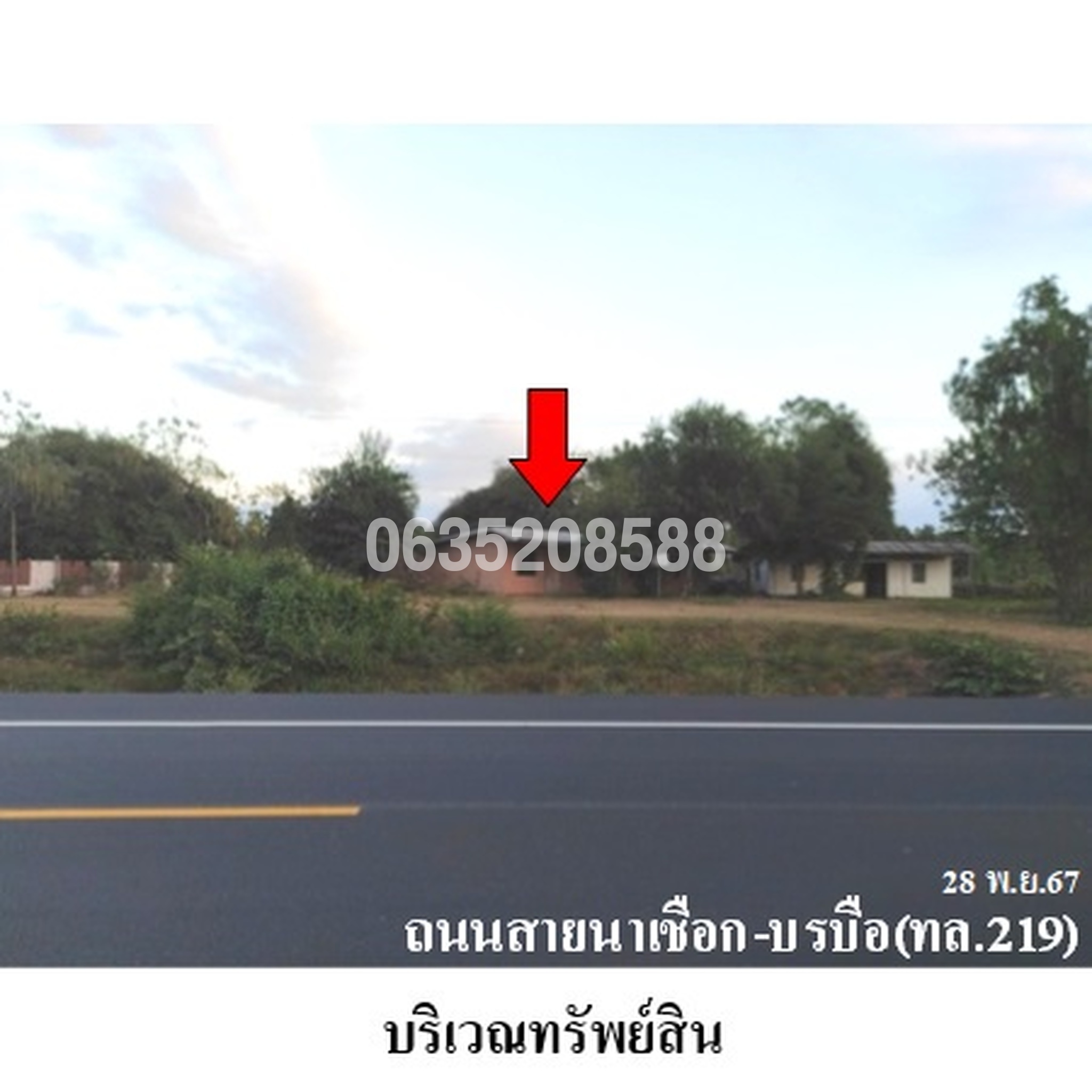 ขายบ้านเดี่ยว ถนนสายนาเชือก-บรบือ (ทล.219)