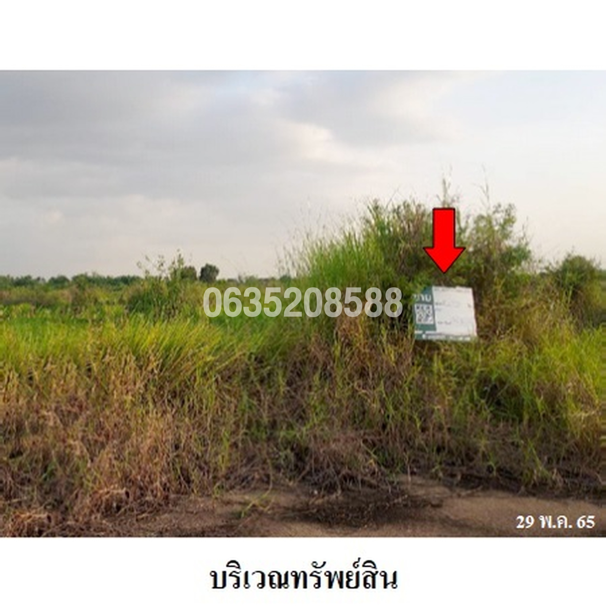 ขายที่ดิน สุรีย์ปาร์ค