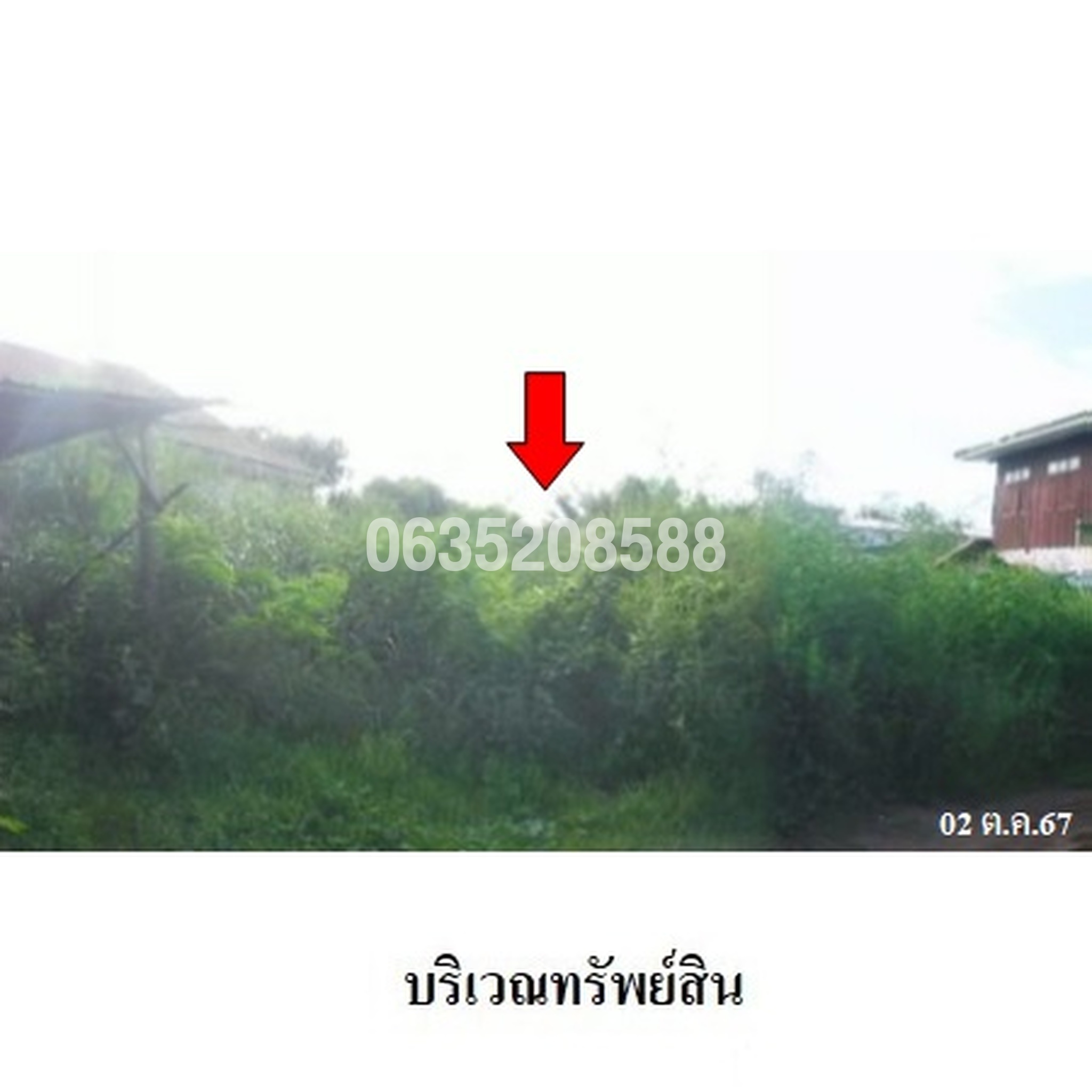 ขายที่ดิน ถนนสิทธิศักดิ์บำรุง