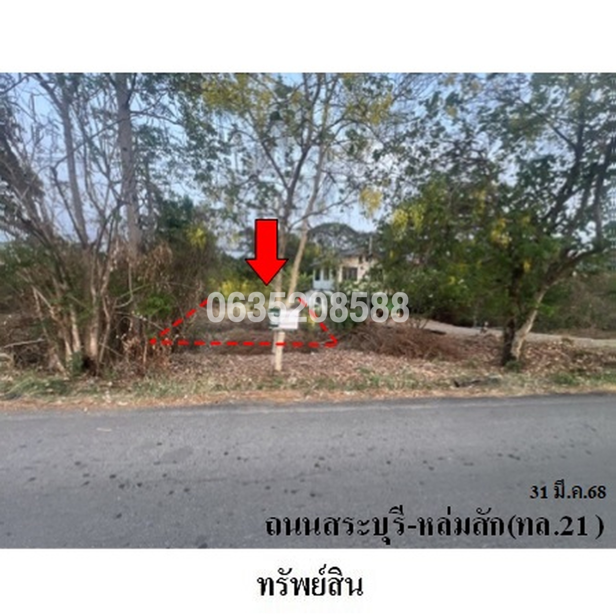 ขายที่ดิน ถนนสายสระบุรี-หล่มสัก (ทล.21)