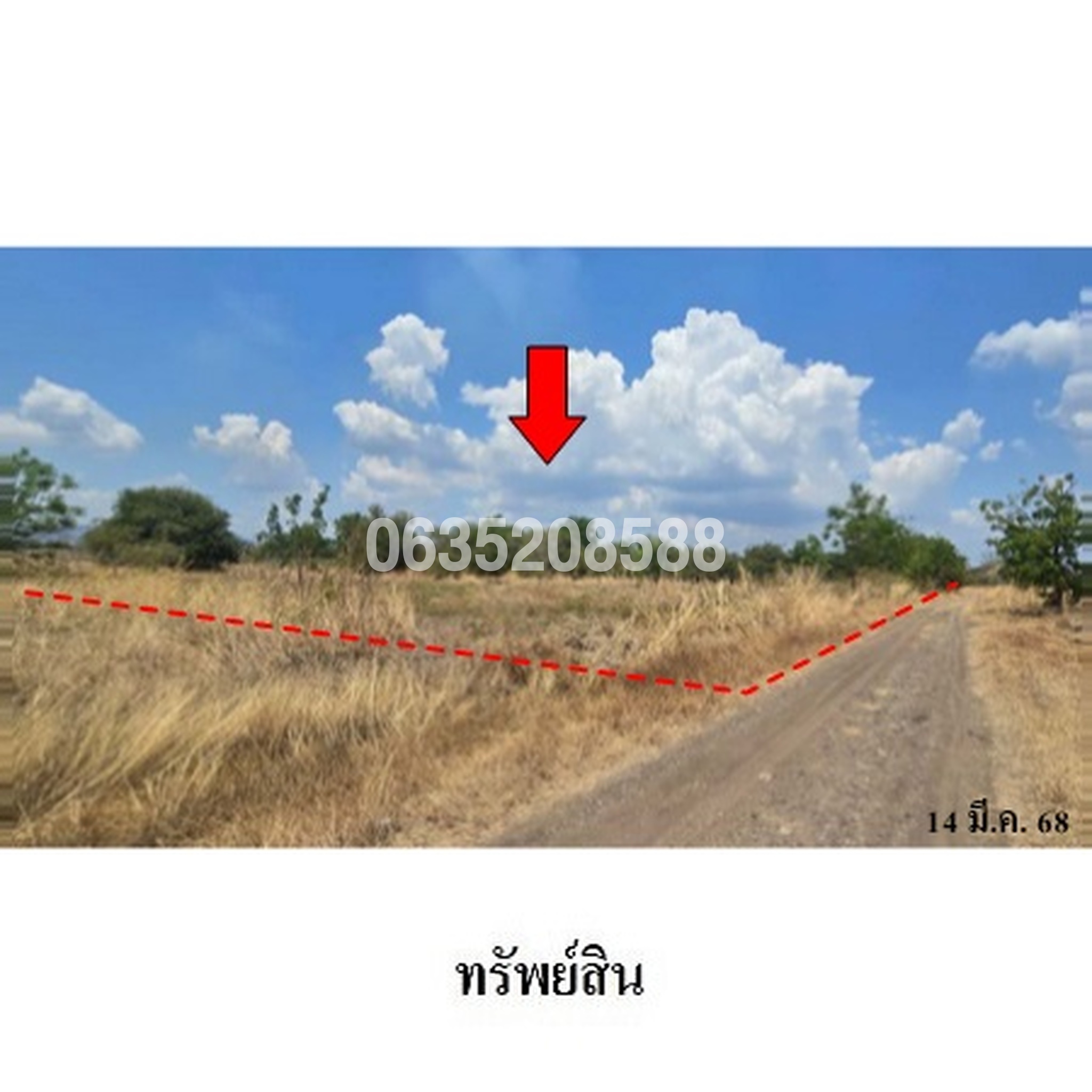 ขายที่ดิน ถนนถนนสุรนารายณ์ (ทล.205)
