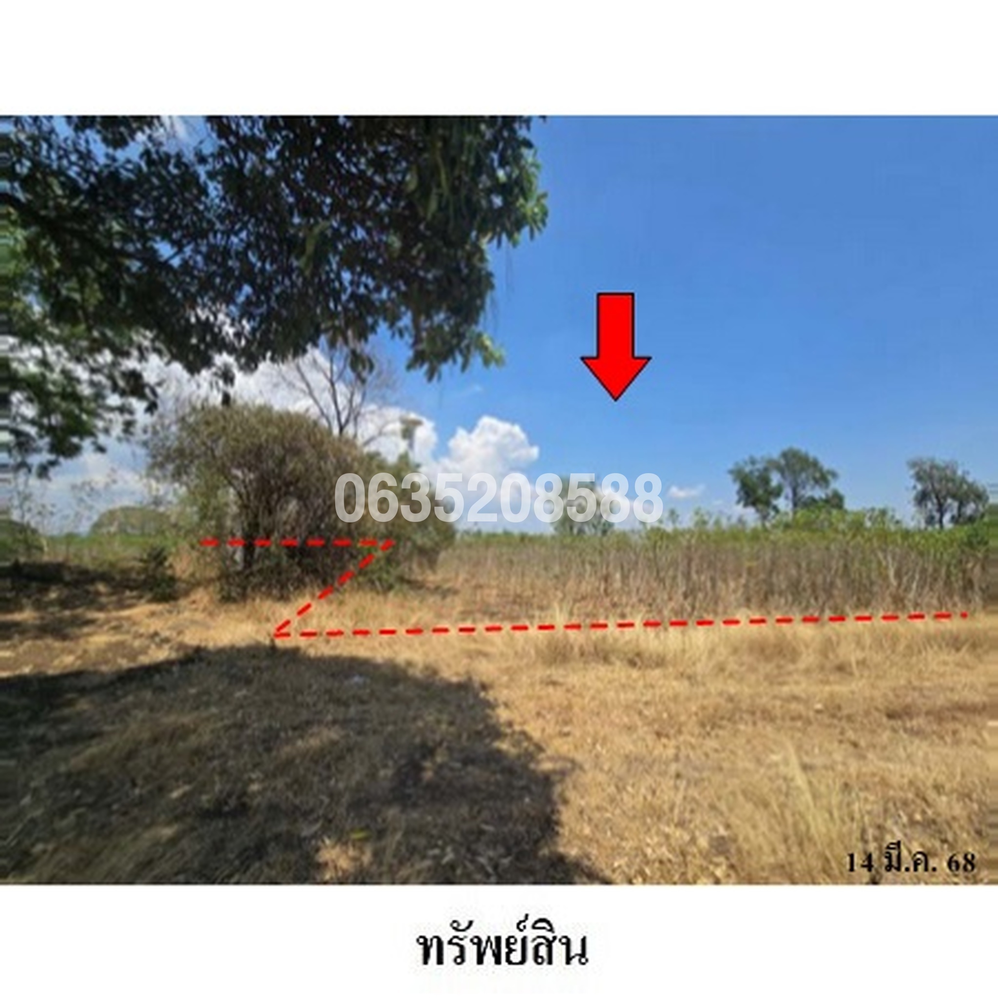 ขายที่ดิน ถนนถนนสุรนารายณ์ (ทล.205)