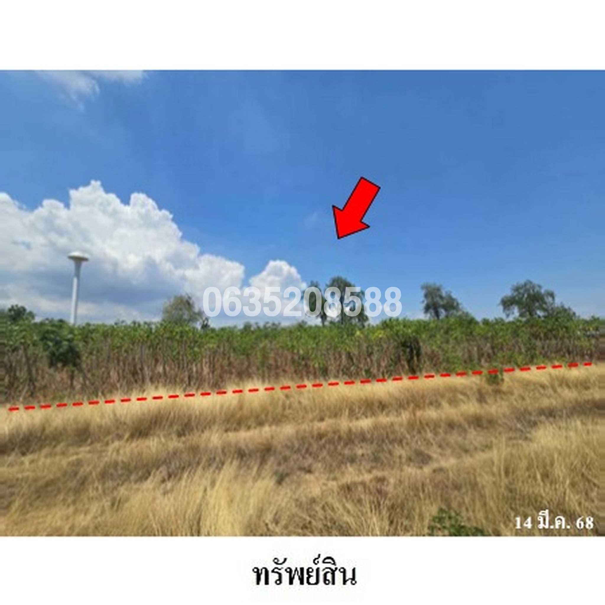 ขายที่ดิน ถนนถนนสุรนารายณ์ (ทล.205)