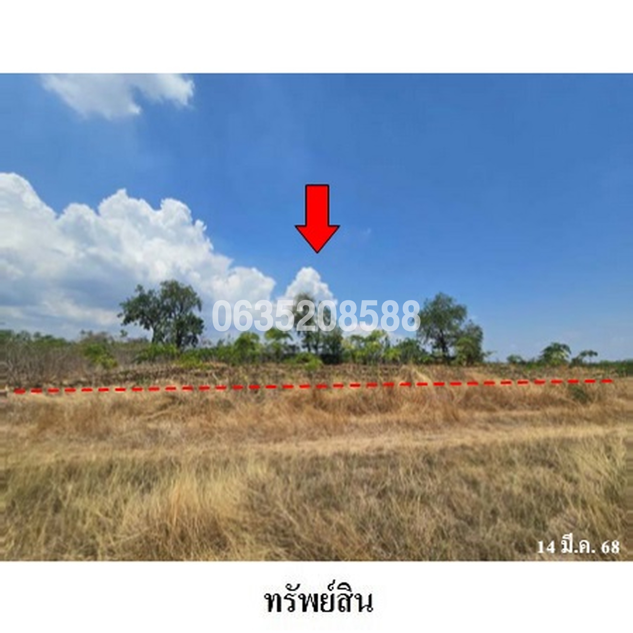 ขายที่ดิน ถนนถนนสุรนารายณ์ (ทล.205)
