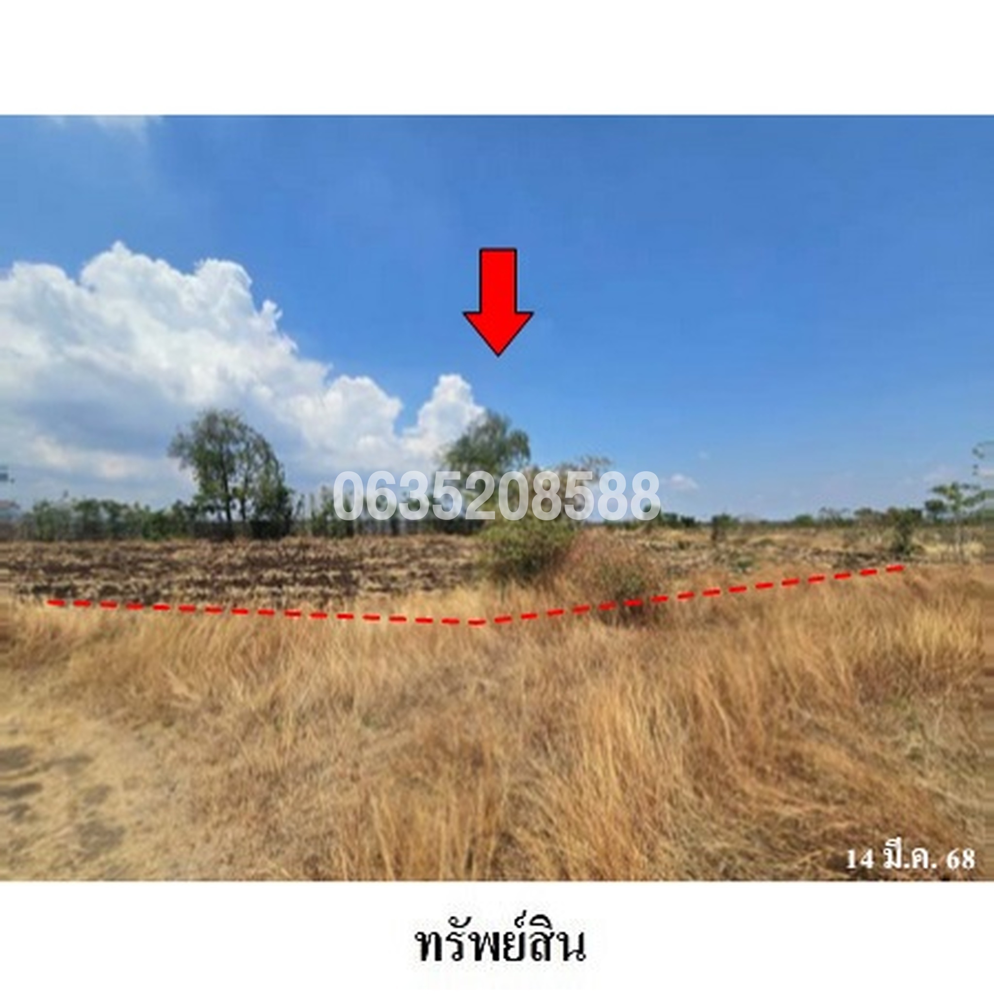 ขายที่ดิน ถนนถนนสุรนารายณ์ (ทล.205)