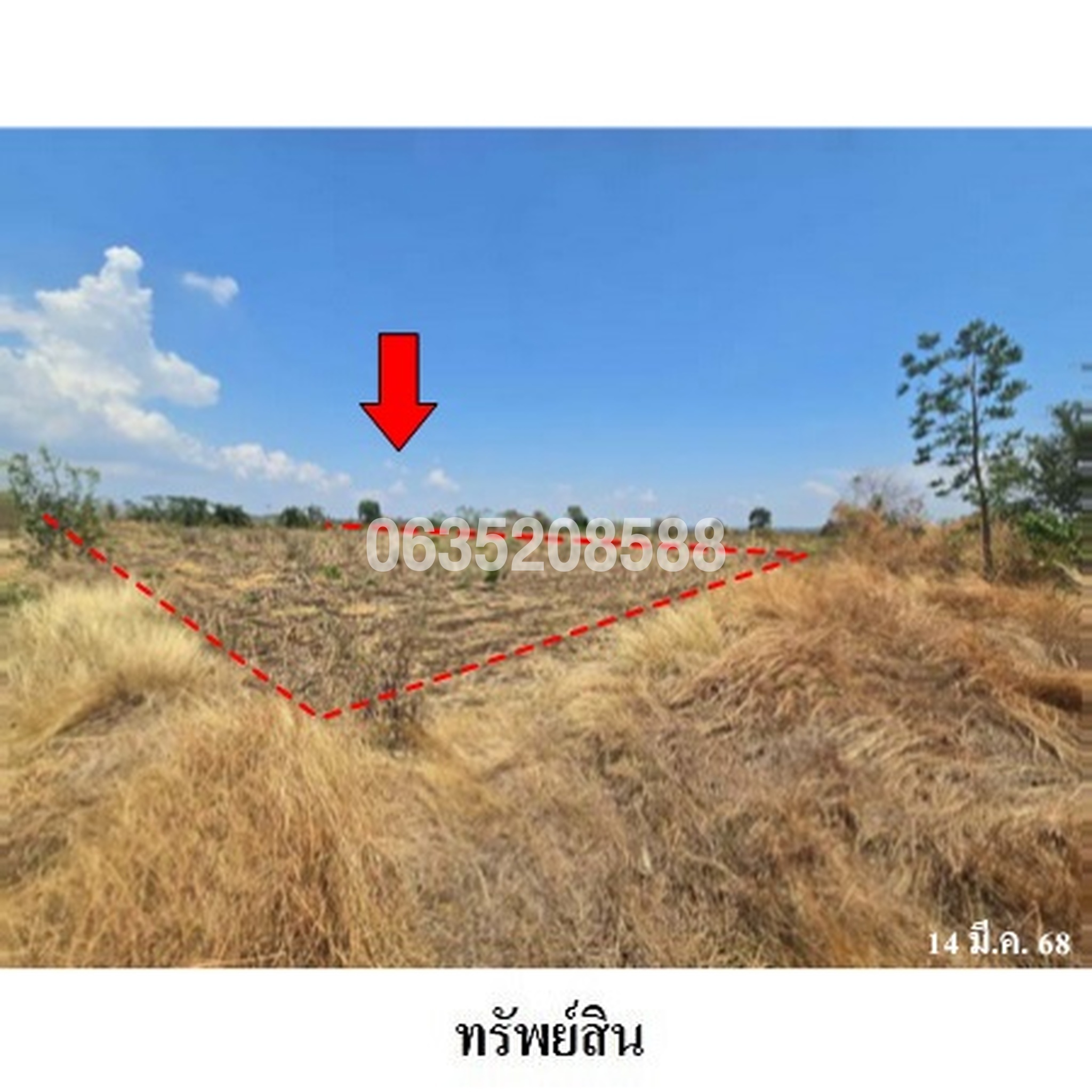 ขายที่ดิน ถนนถนนสุรนารายณ์ (ทล.205)