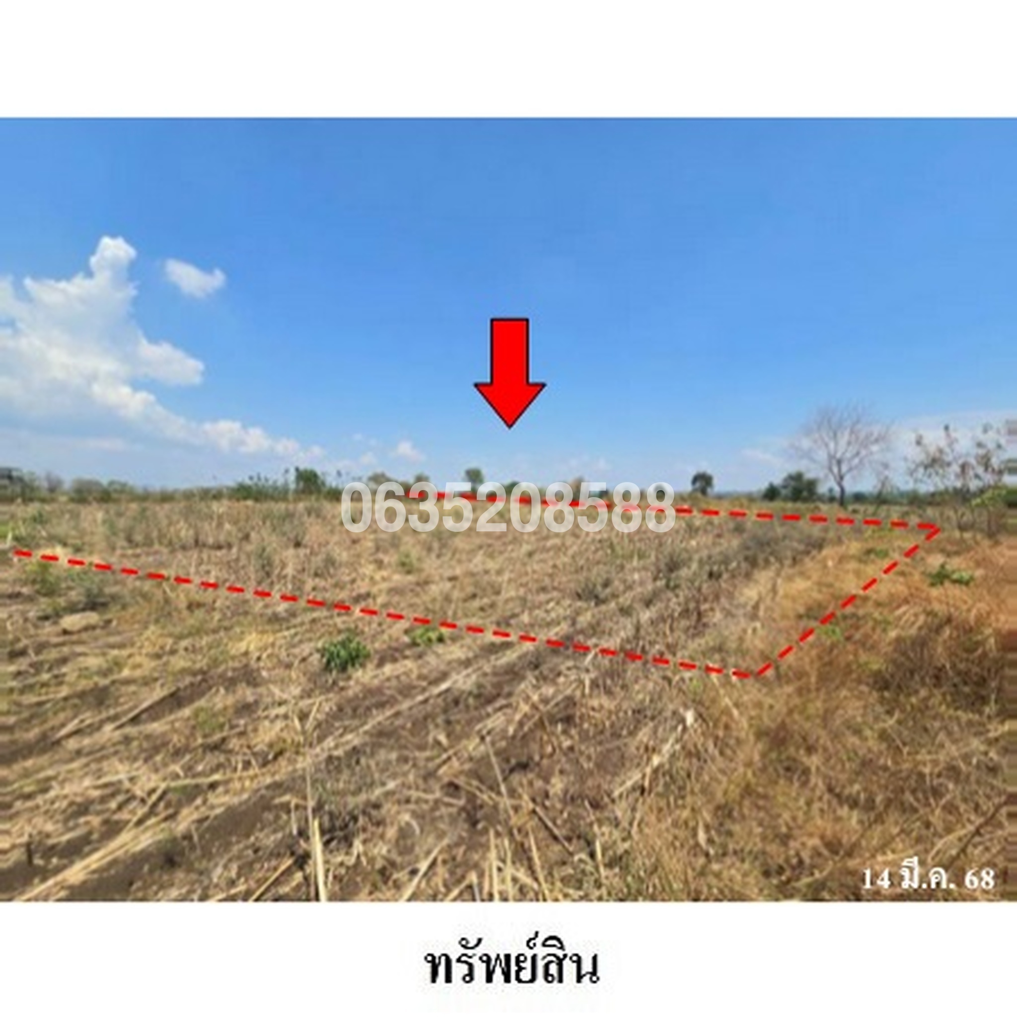 ขายที่ดิน ถนนถนนสุรนารายณ์ (ทล.205)
